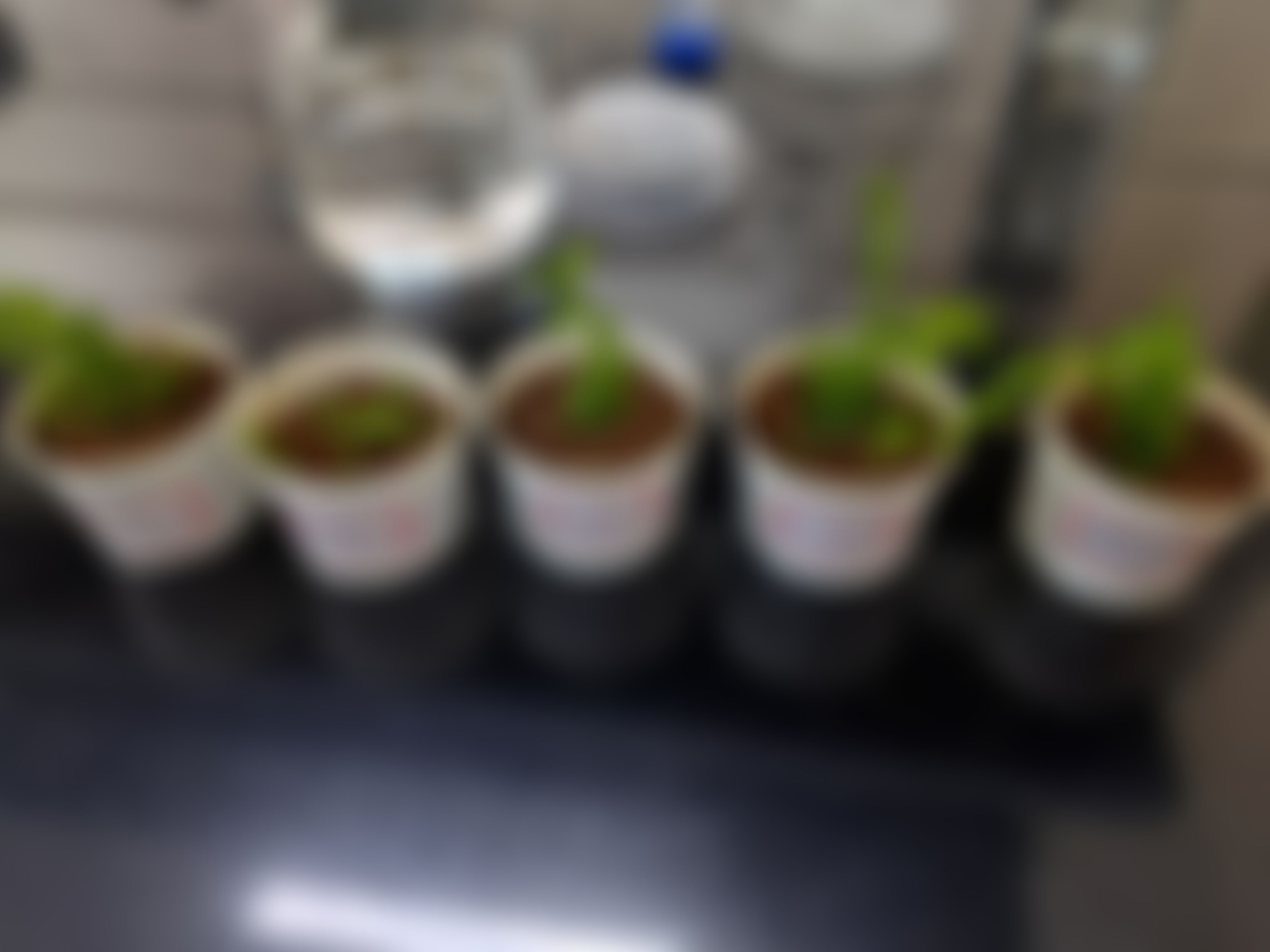 RDWU Facilities & Labs photo (4) by Puja Aradhana Giri