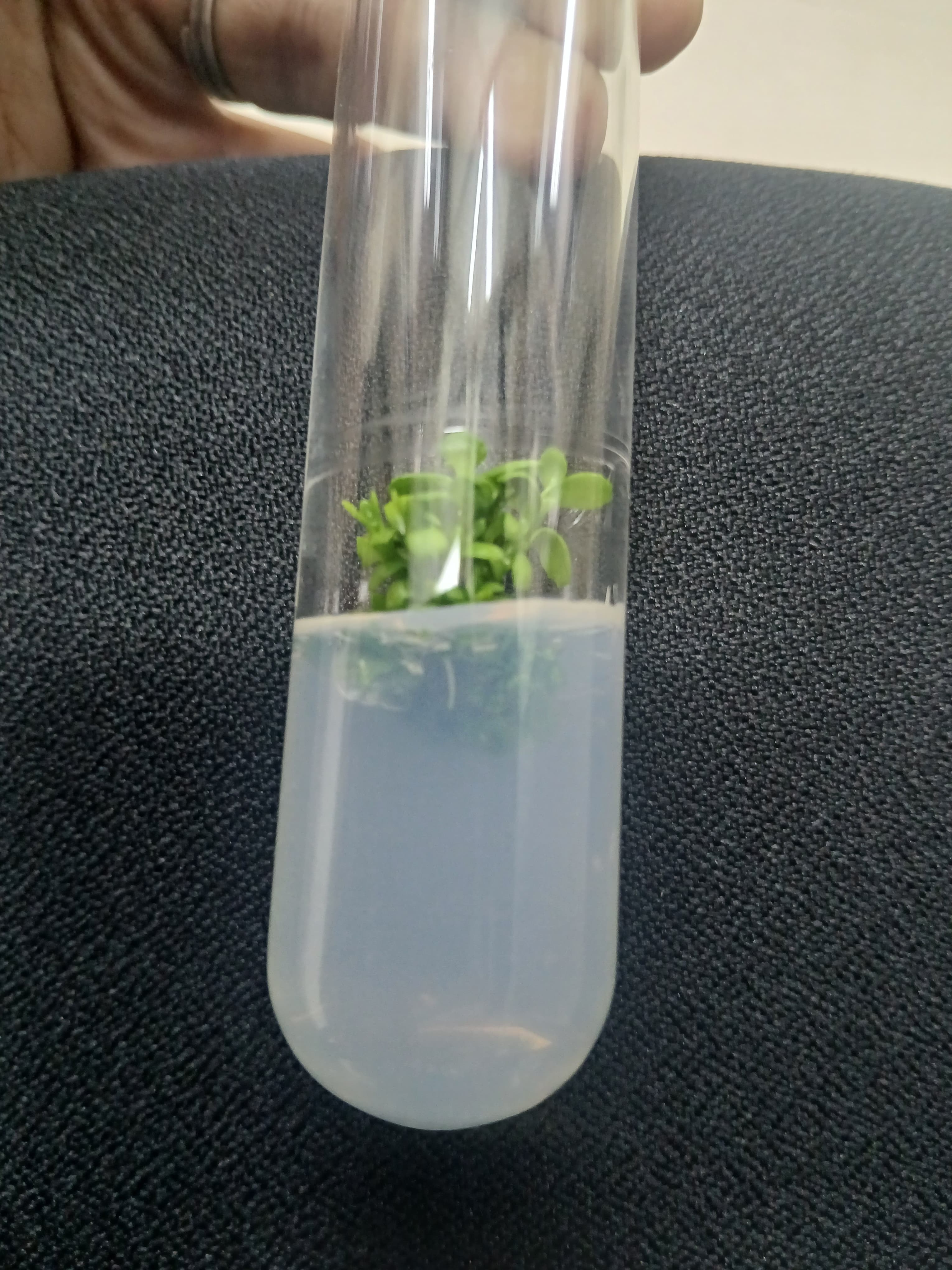 RDWU Facilities & Labs photo 3