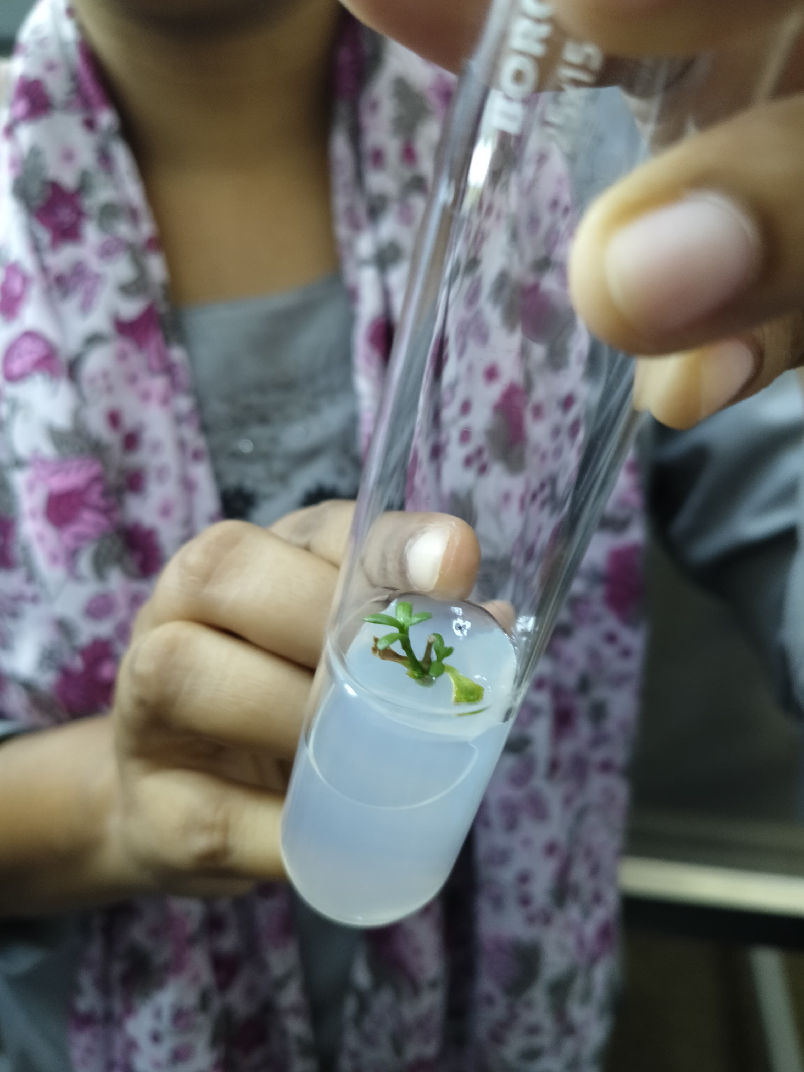 RDWU Facilities & Labs photo 5