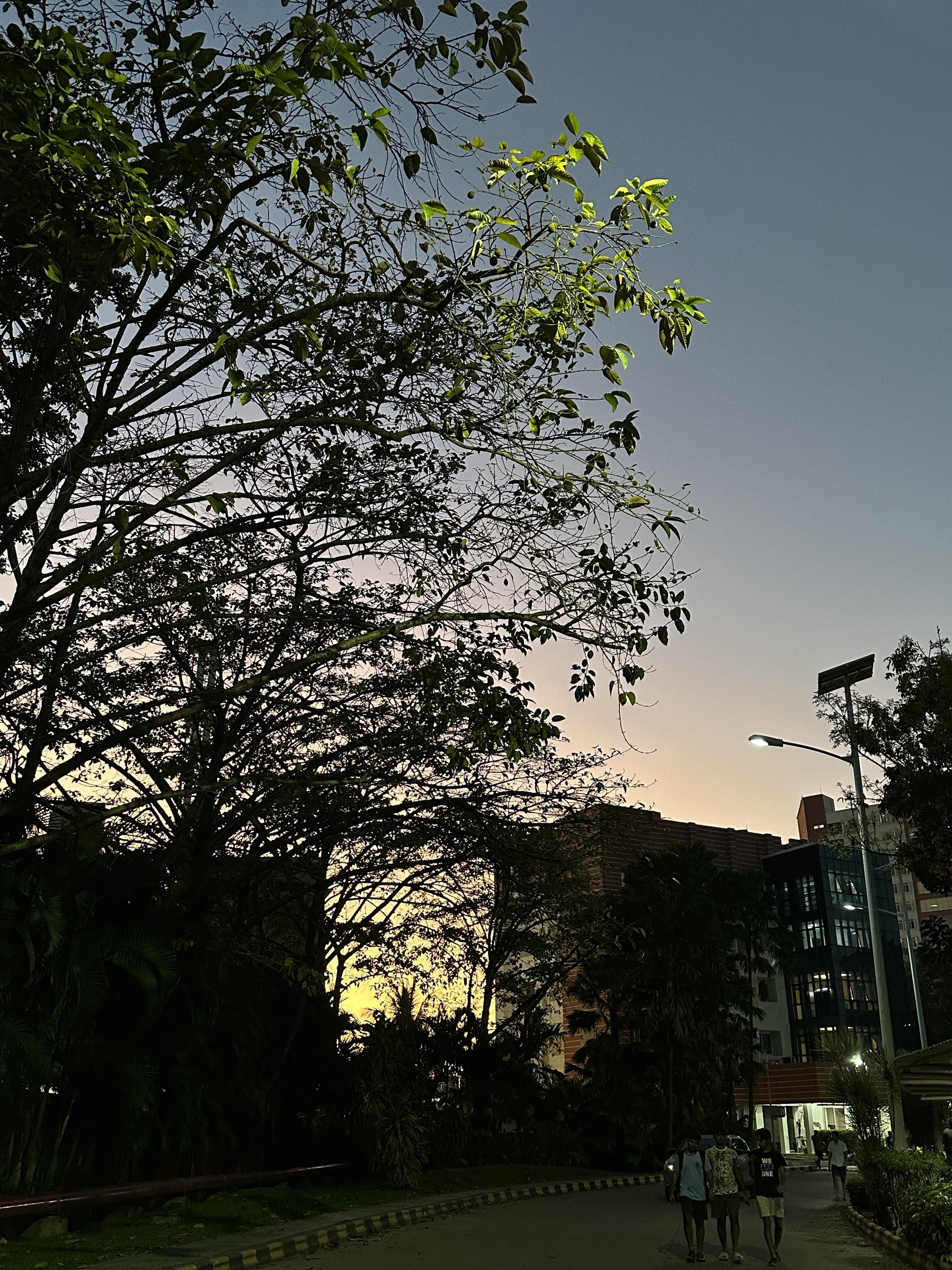 VIT Chennai Campus photo 5