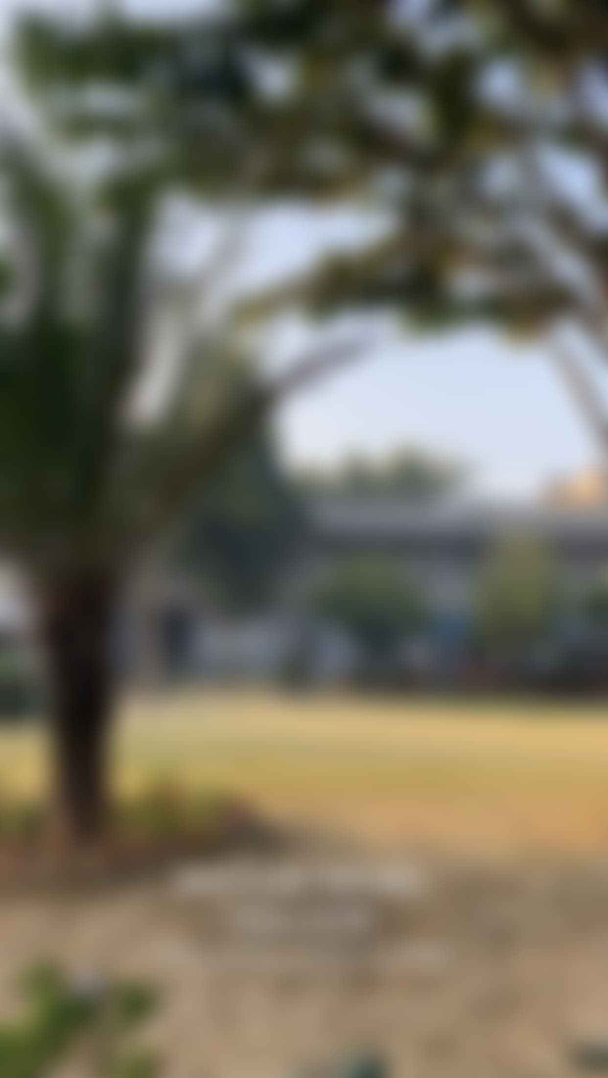 Motilal Nehru College Infrastructure & Academic Building photo (7) by Tushar