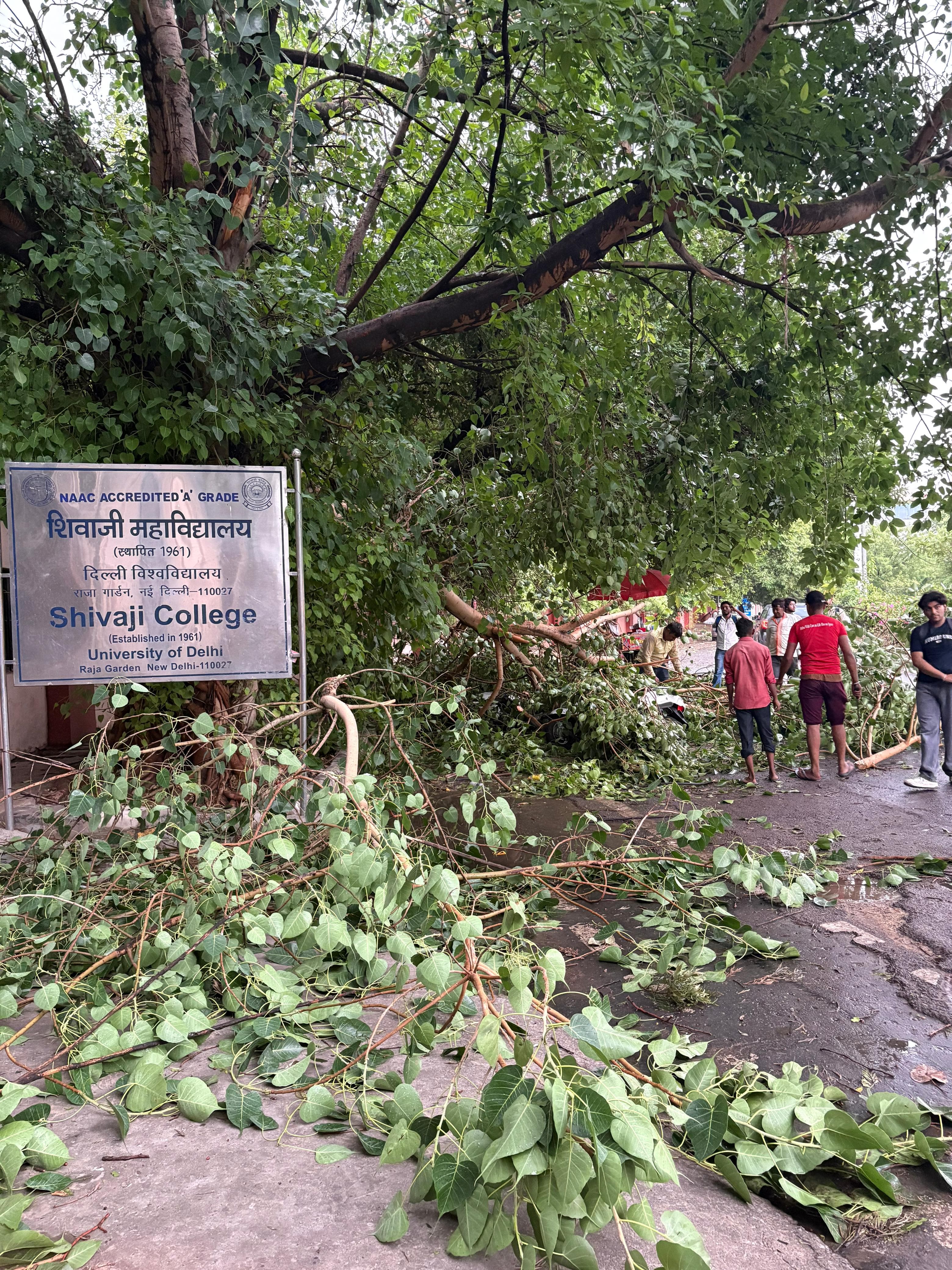 Shivaji College General photo (10) by Lavish sharma