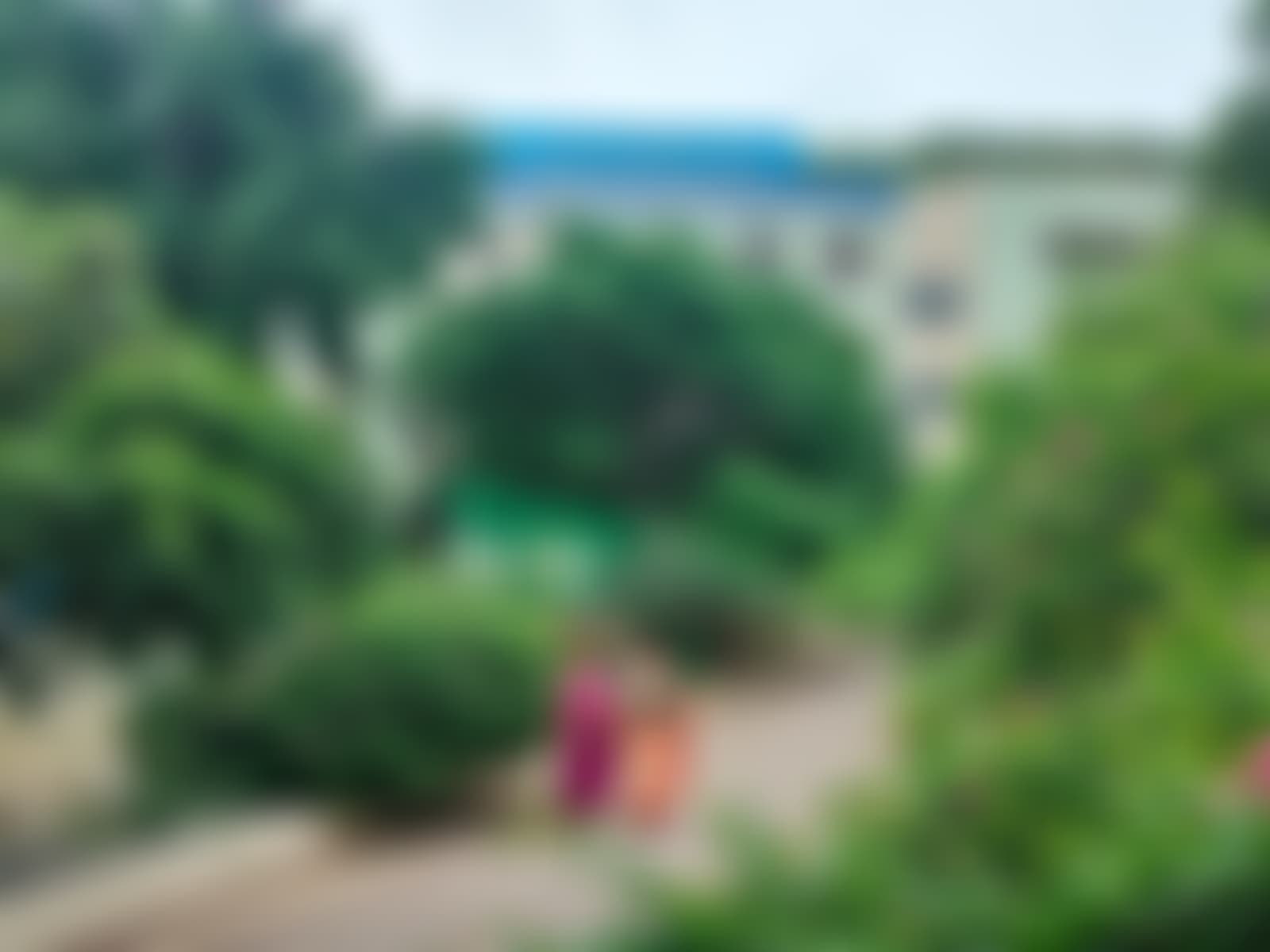 Bundelkhand University Jhansi Campus photo (14) by Bhavya katayayan