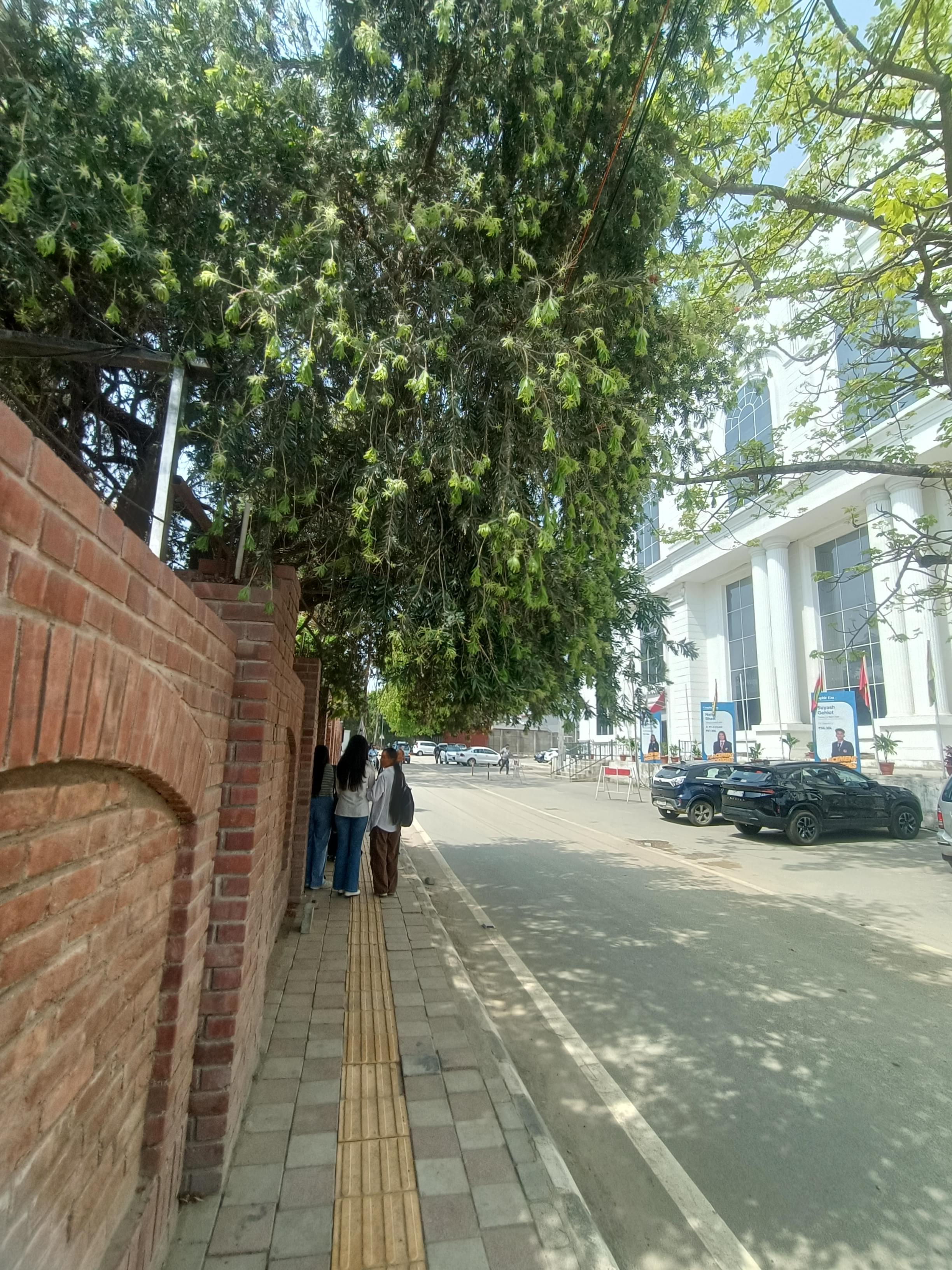 GEHU Dehradun Campus photo 6