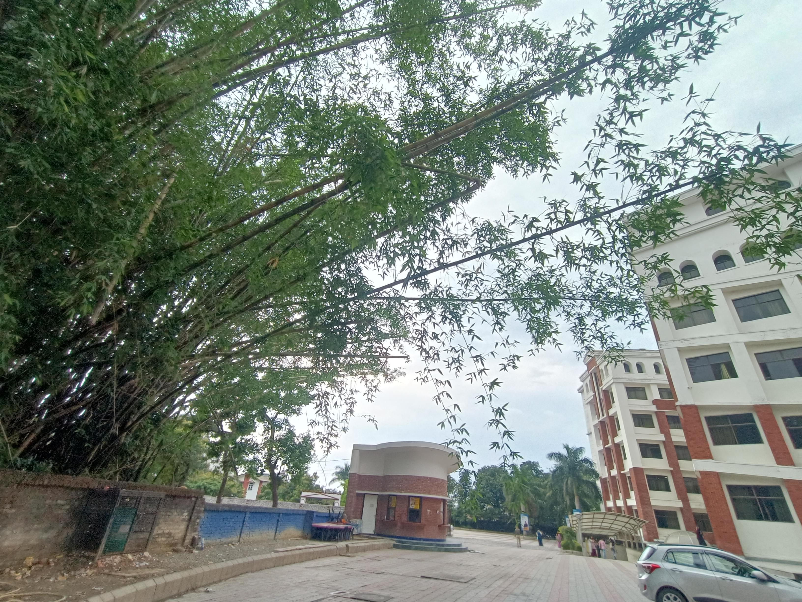 GEHU Dehradun Campus photo 5