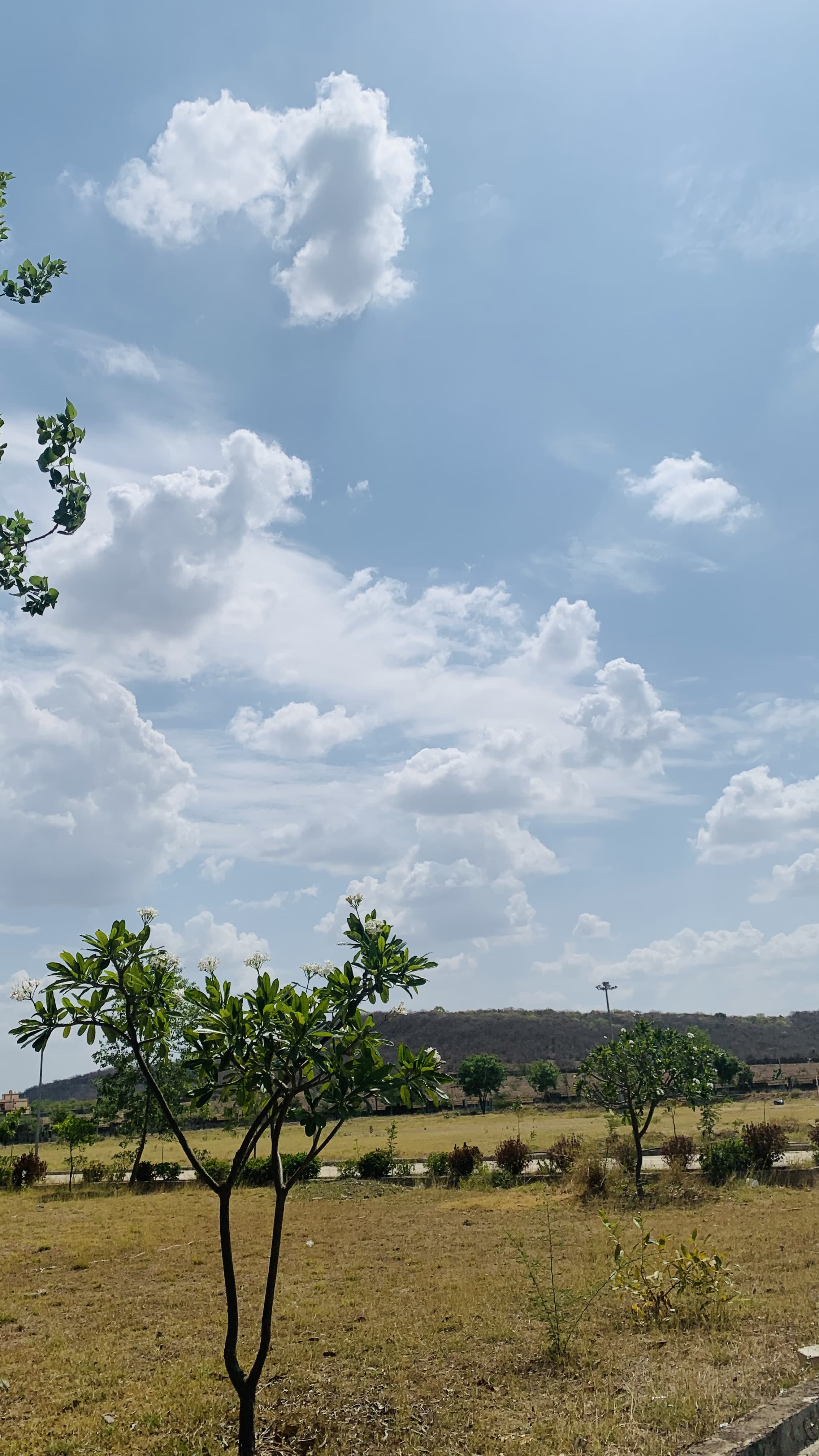 University Institute of Technology RGPV , Shivpuri Extra-Curricular photo (7) by Harsh Rajak