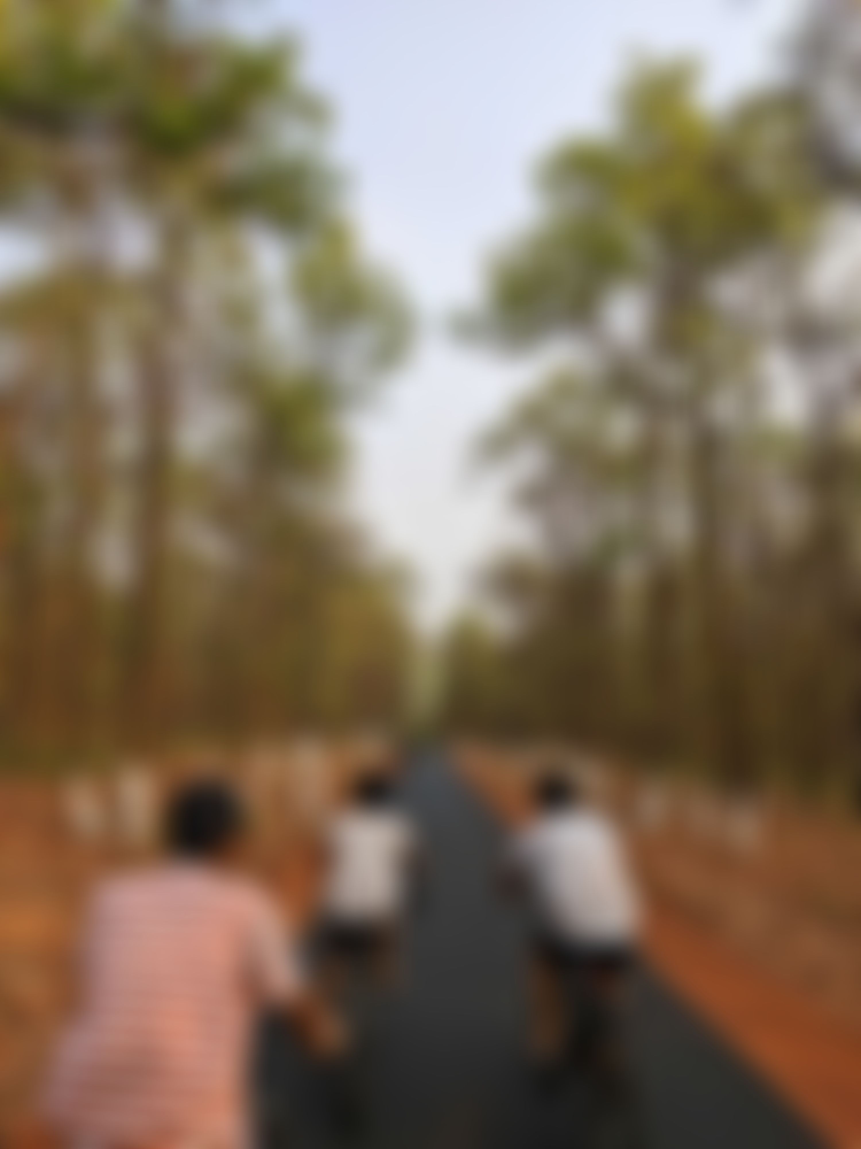 BIT Mesra Extra-Curricular photo (6) by Priyansh Sahu