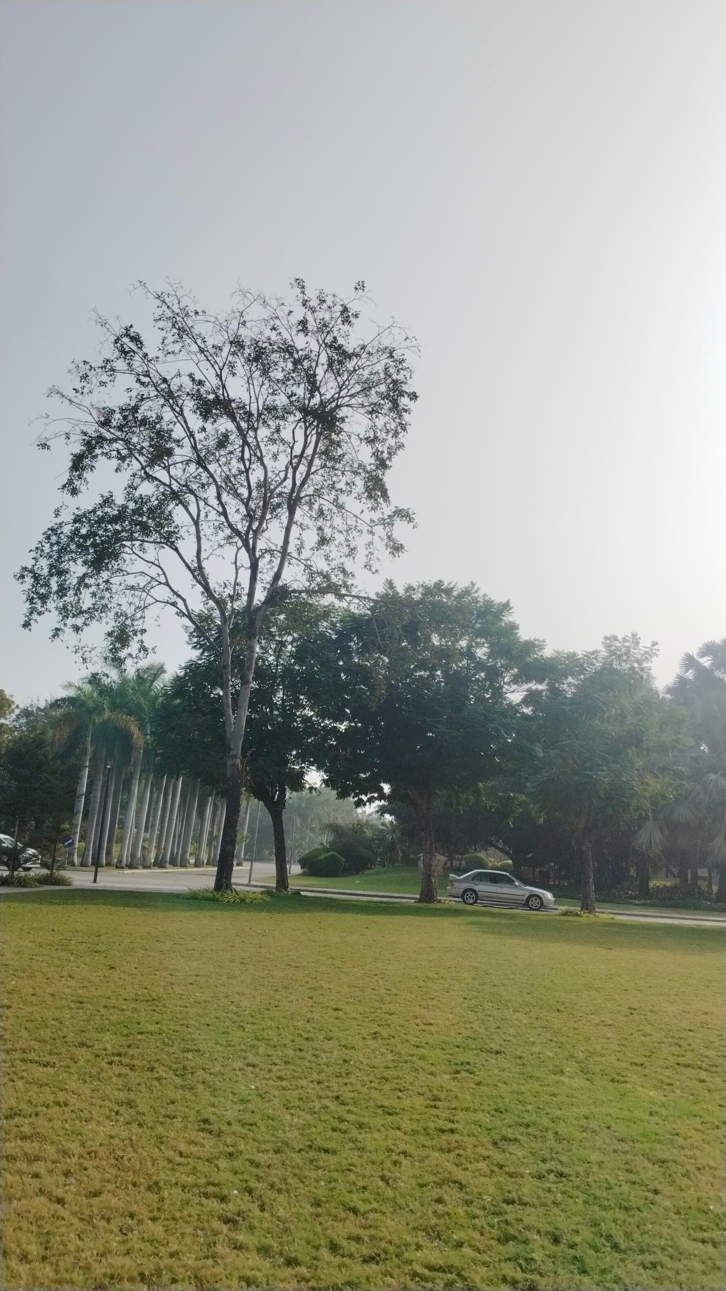 Institute of Technology, Nirma University Ahmedabad Infrastructure & Academic Building photo 3