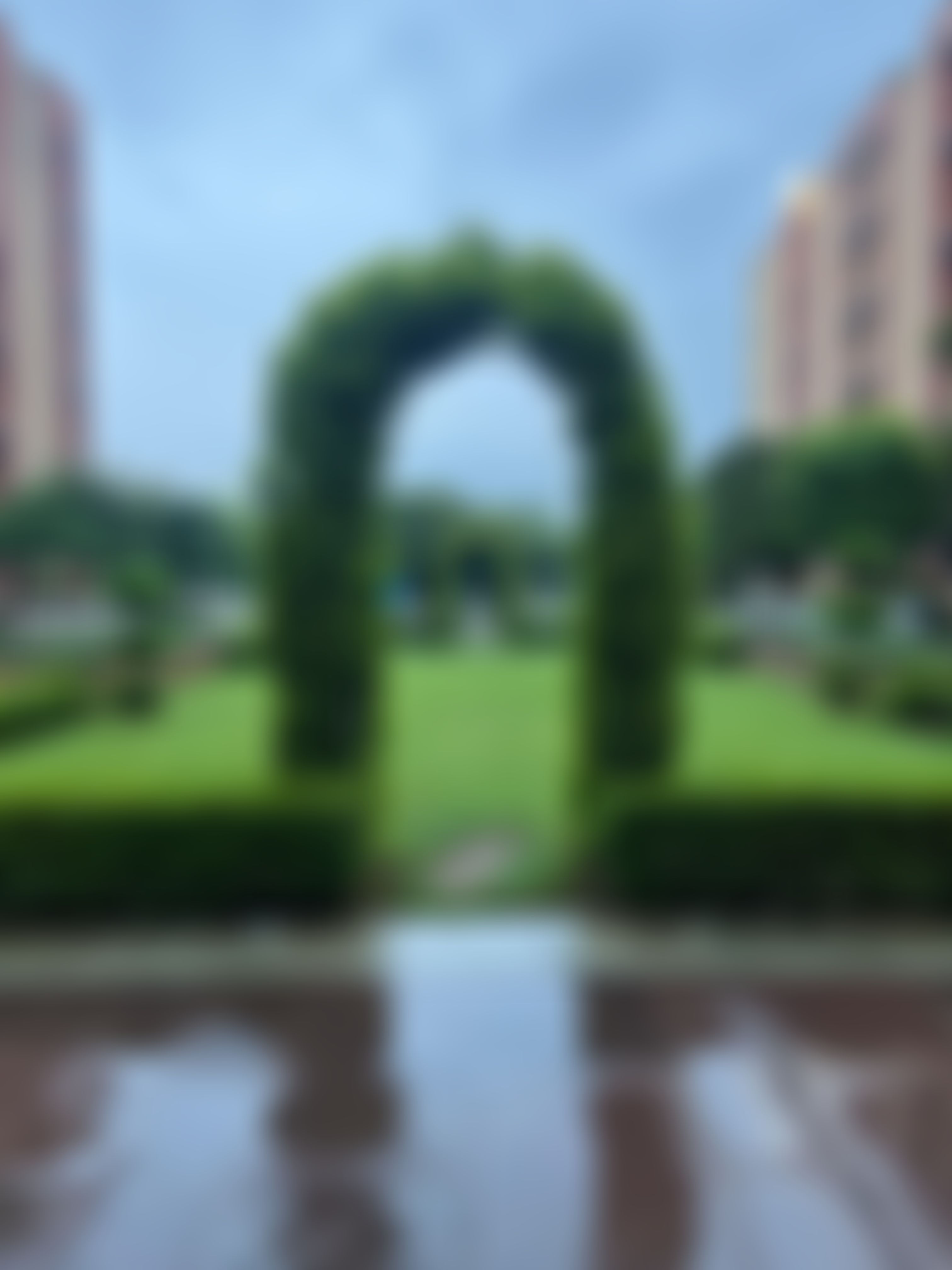 UPES School of Business Campus photo (14) by Arikta Samal