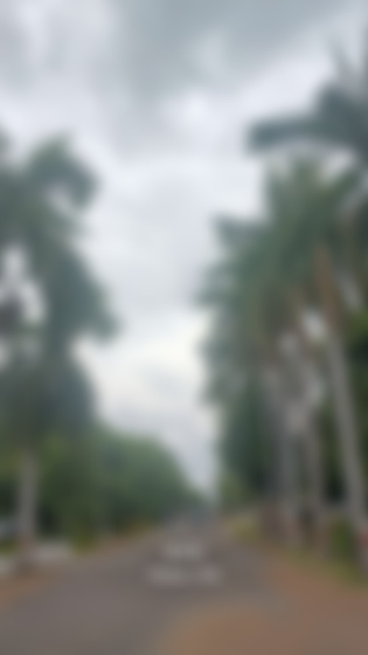 Kamala Institute of Technology & Science Karimnagar Campus photo (6) by Niharika