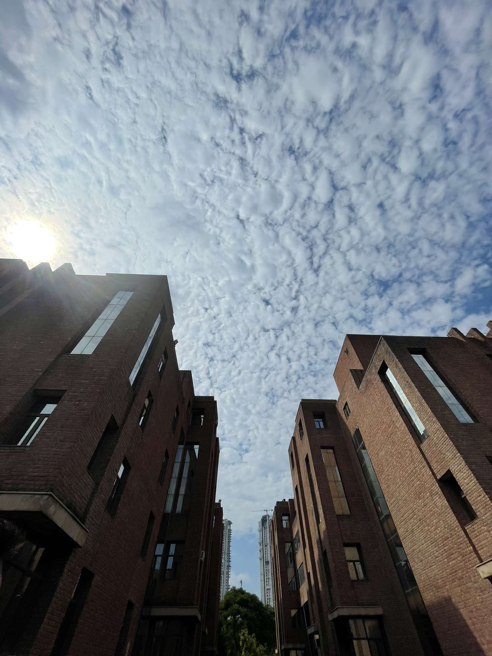 ASET Noida Infrastructure & Academic Building photo (4) by Palak jain