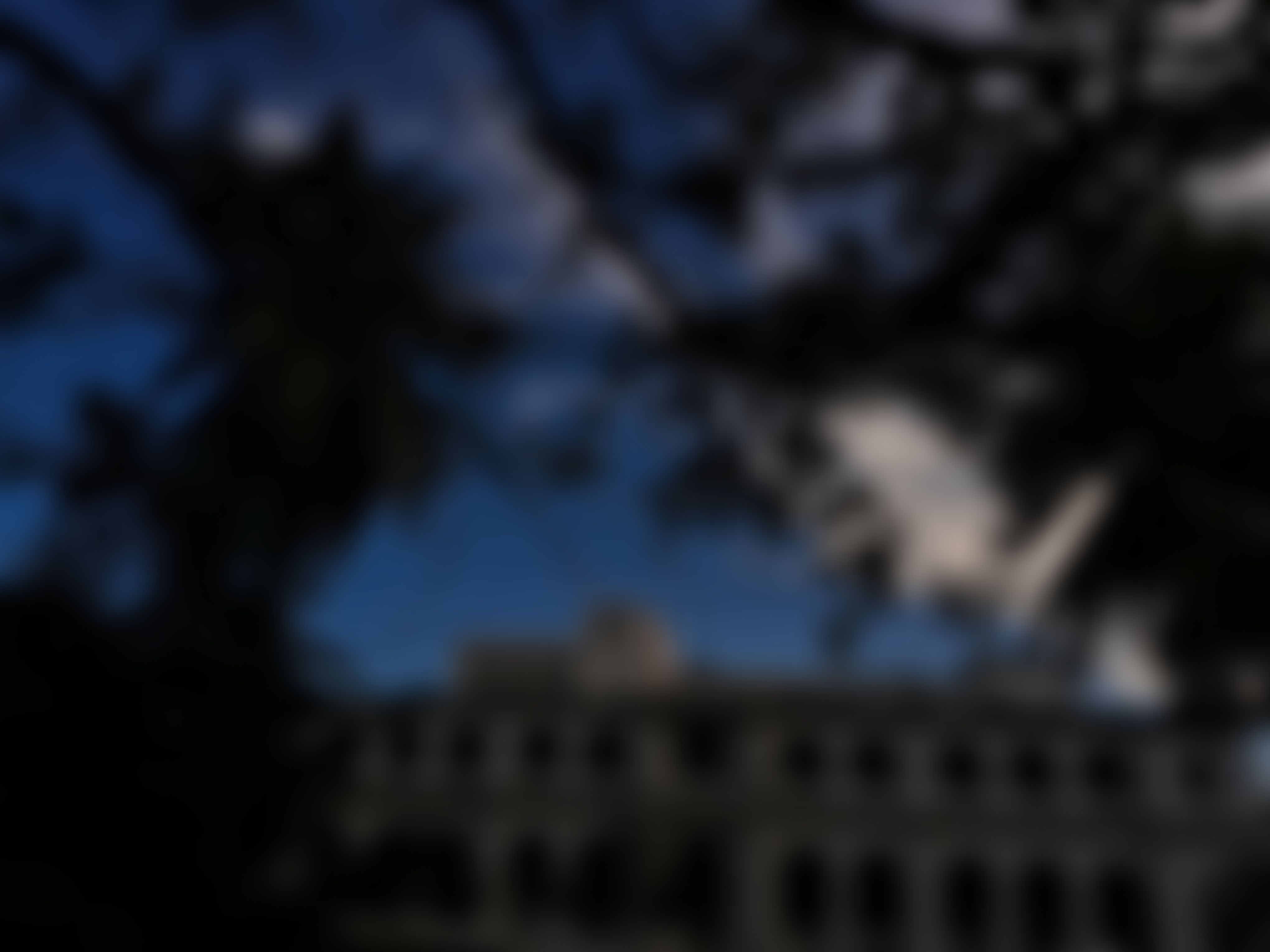 Presidency University Kolkata Campus photo (6) by Shreya Haldar