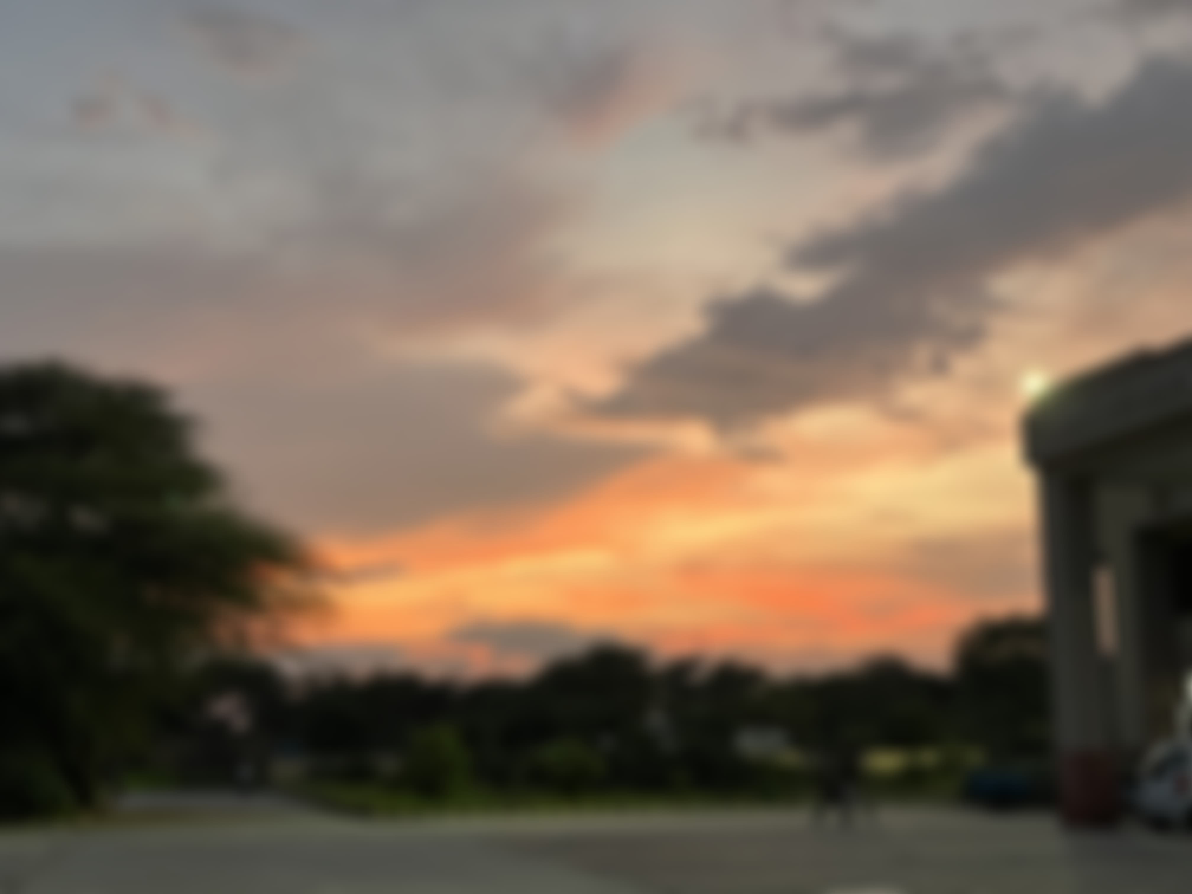 CU Haryana Campus photo (3) by Jeshmi Riang