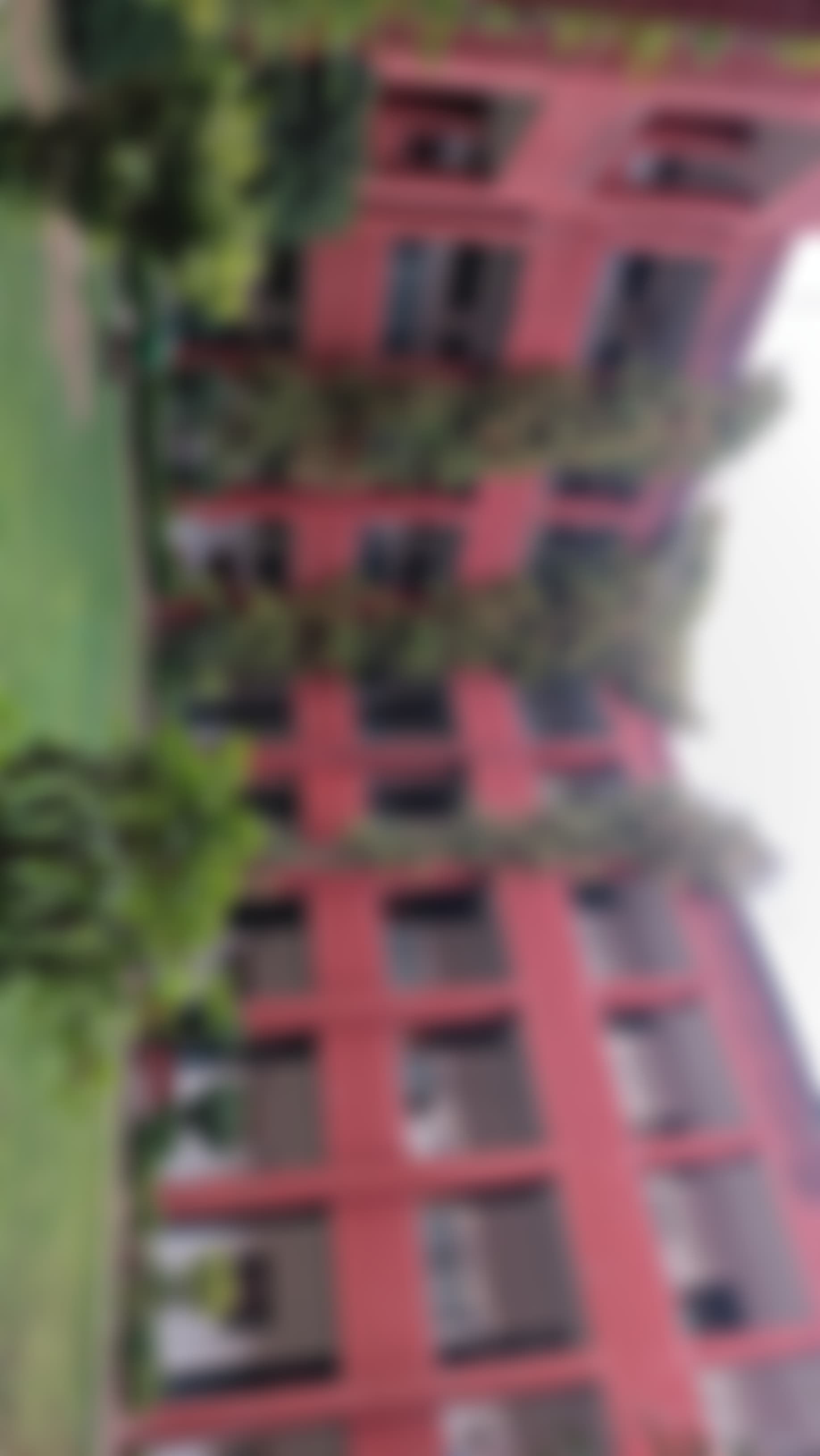 Gargi College Campus photo (9) by Janvi Sharma