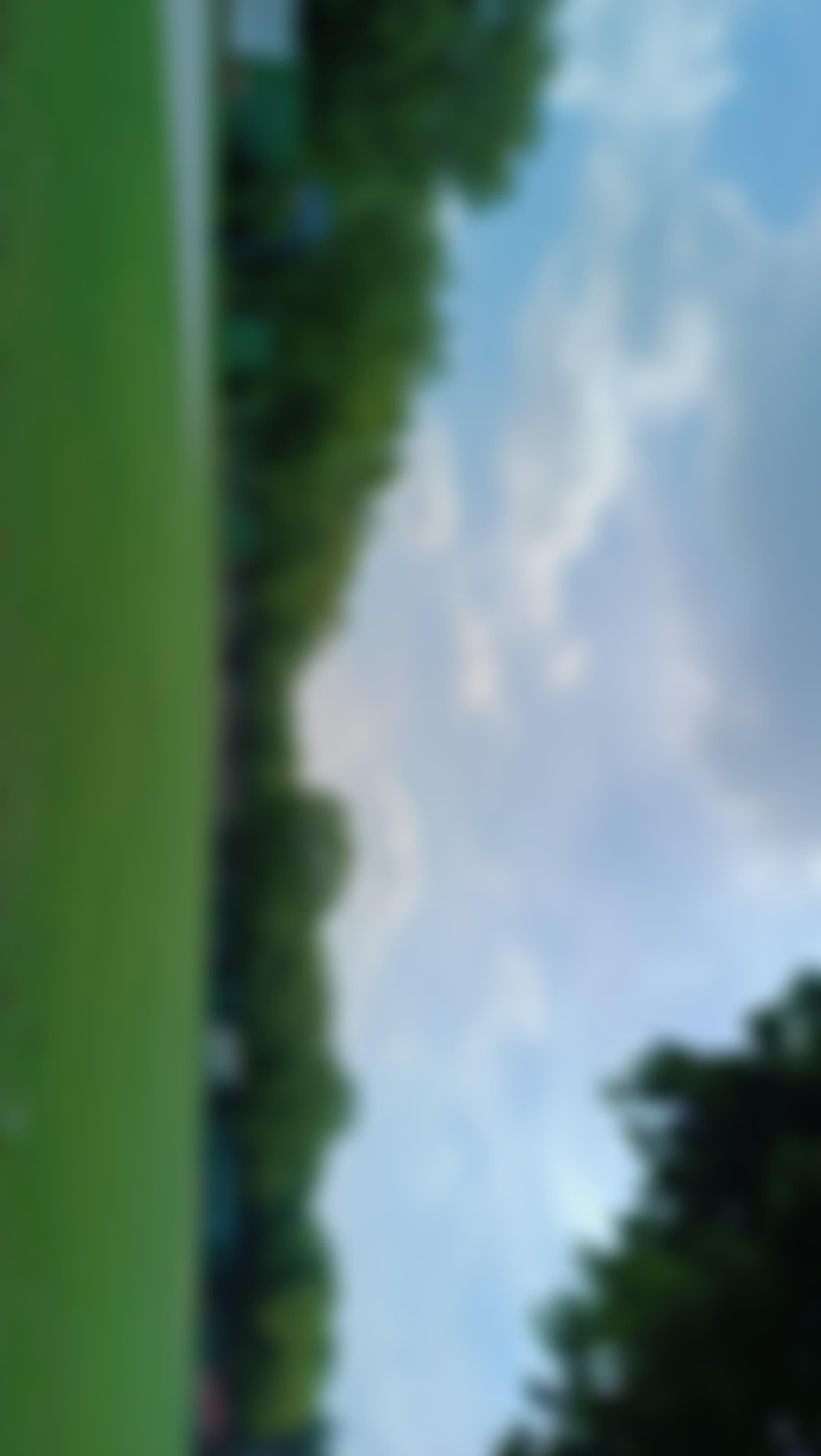 Gargi College Campus photo (7) by Janvi Sharma