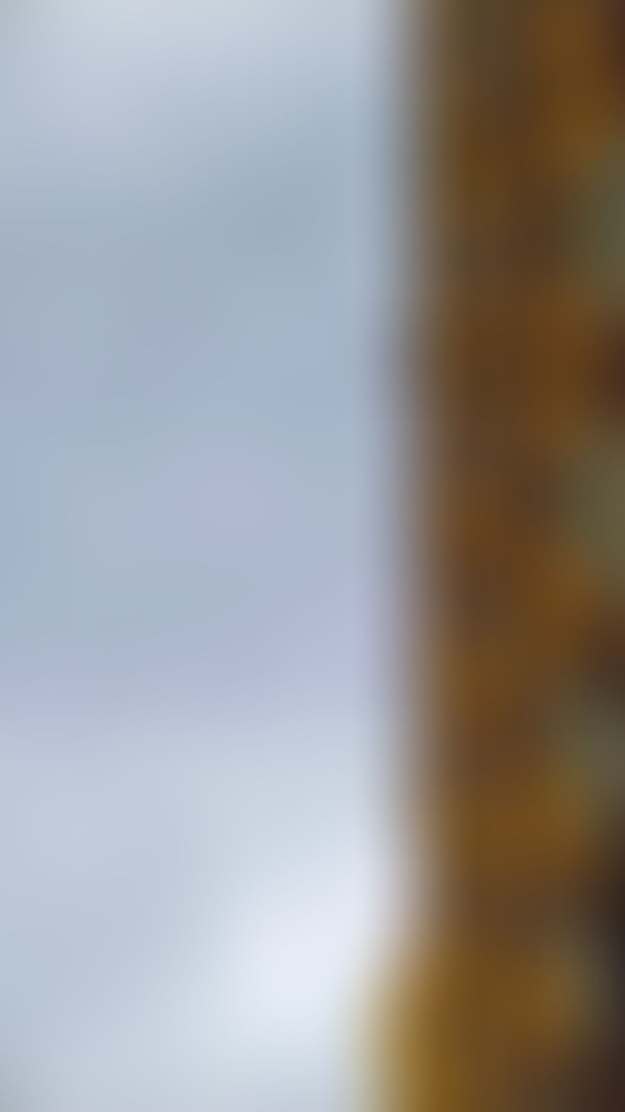 St Xavier's Mumbai Campus photo (4) by shreya singh