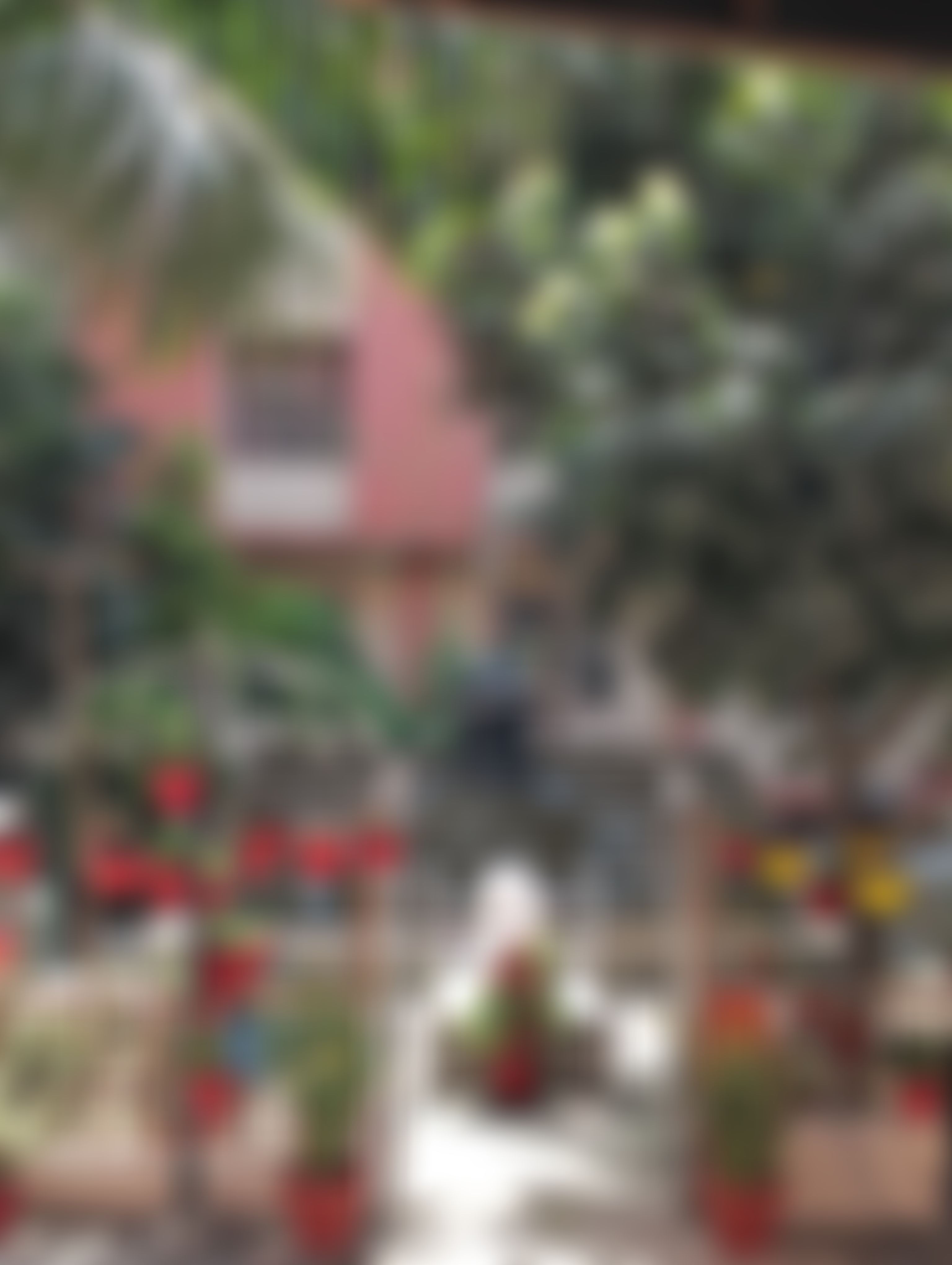 IIMT University Meerut Campus photo (4) by Aastha Sharma