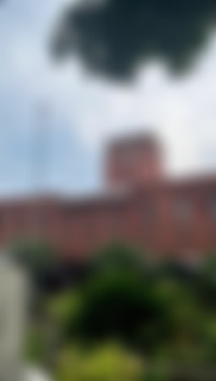 Ramjas College Campus photo (12) by Malvika Singh