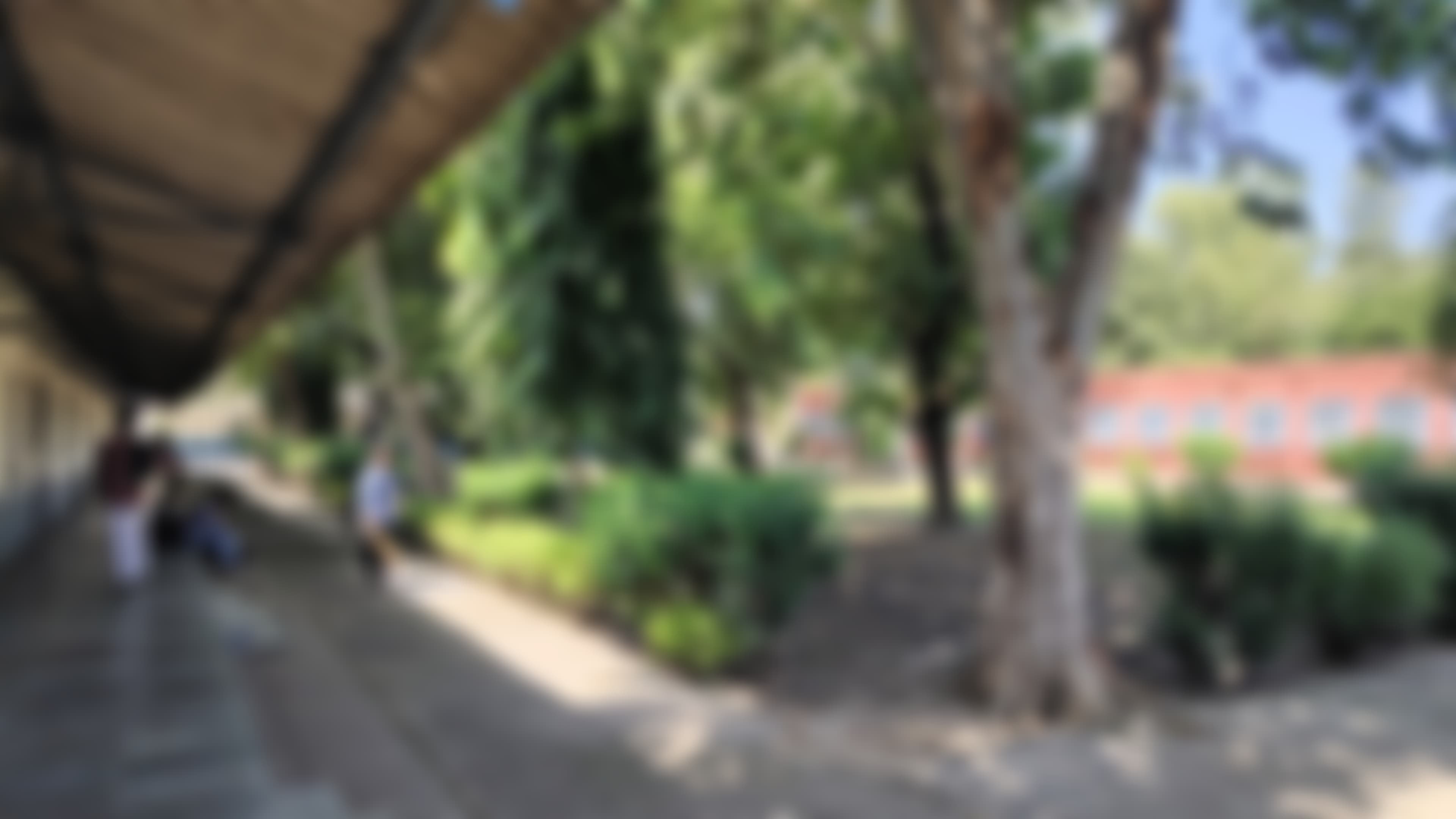 Swami Shraddhanand College Campus photo (5) by Sahil Sheshnath Sharma