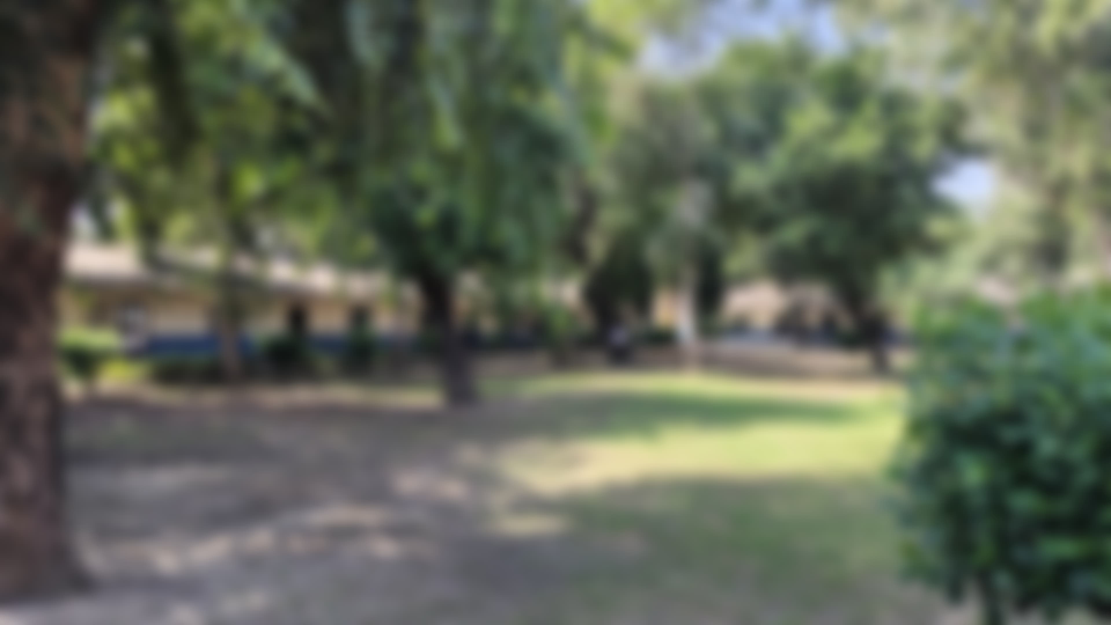 Swami Shraddhanand College Campus photo (3) by Sahil Sheshnath Sharma