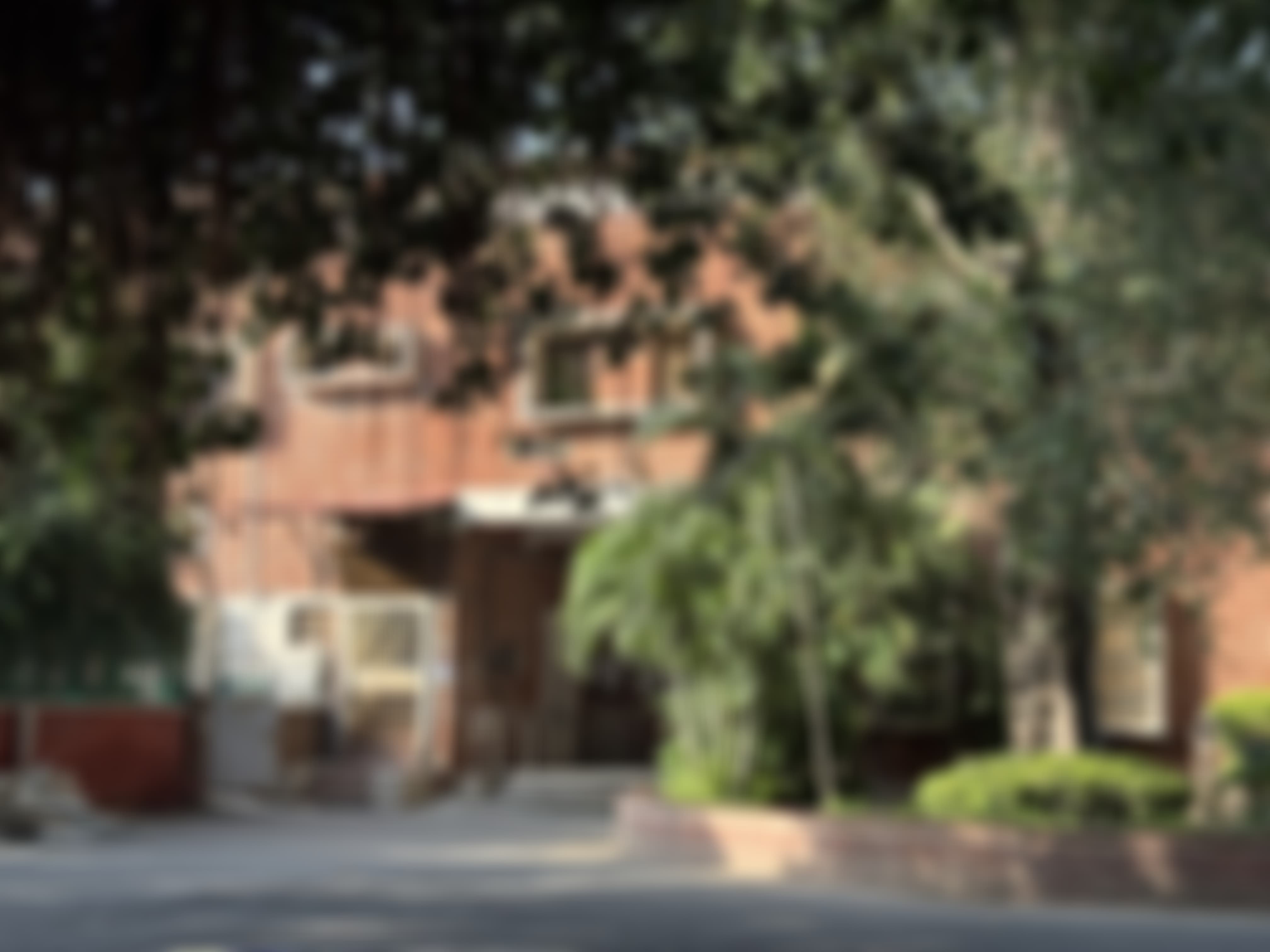 SRCC Campus photo (8) by Diya