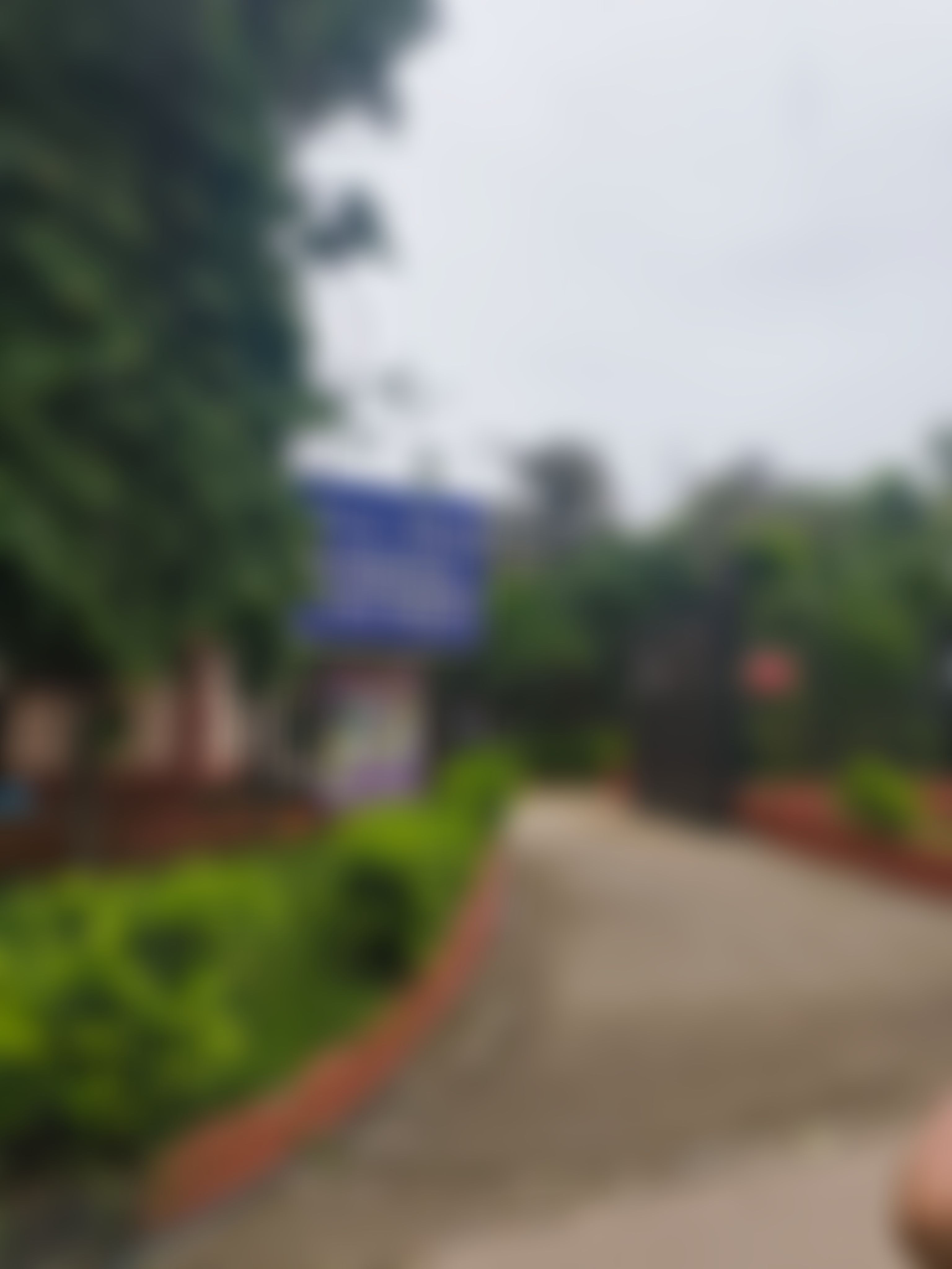 ARSD College Campus photo (12) by Anshuman