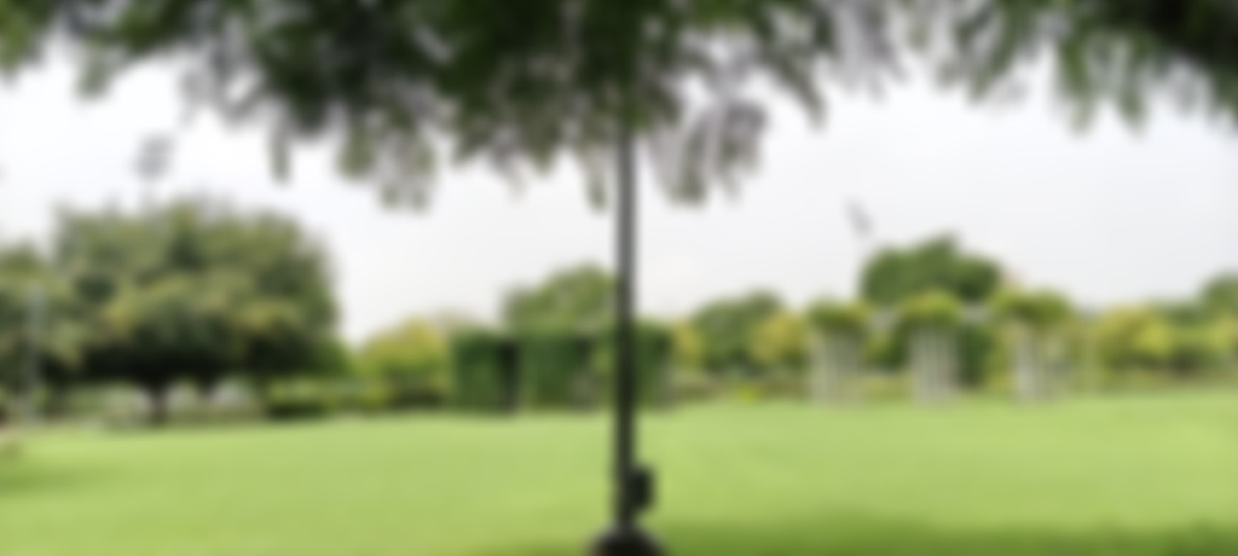 SNU Noida Campus photo (3) by Sarita Sharma