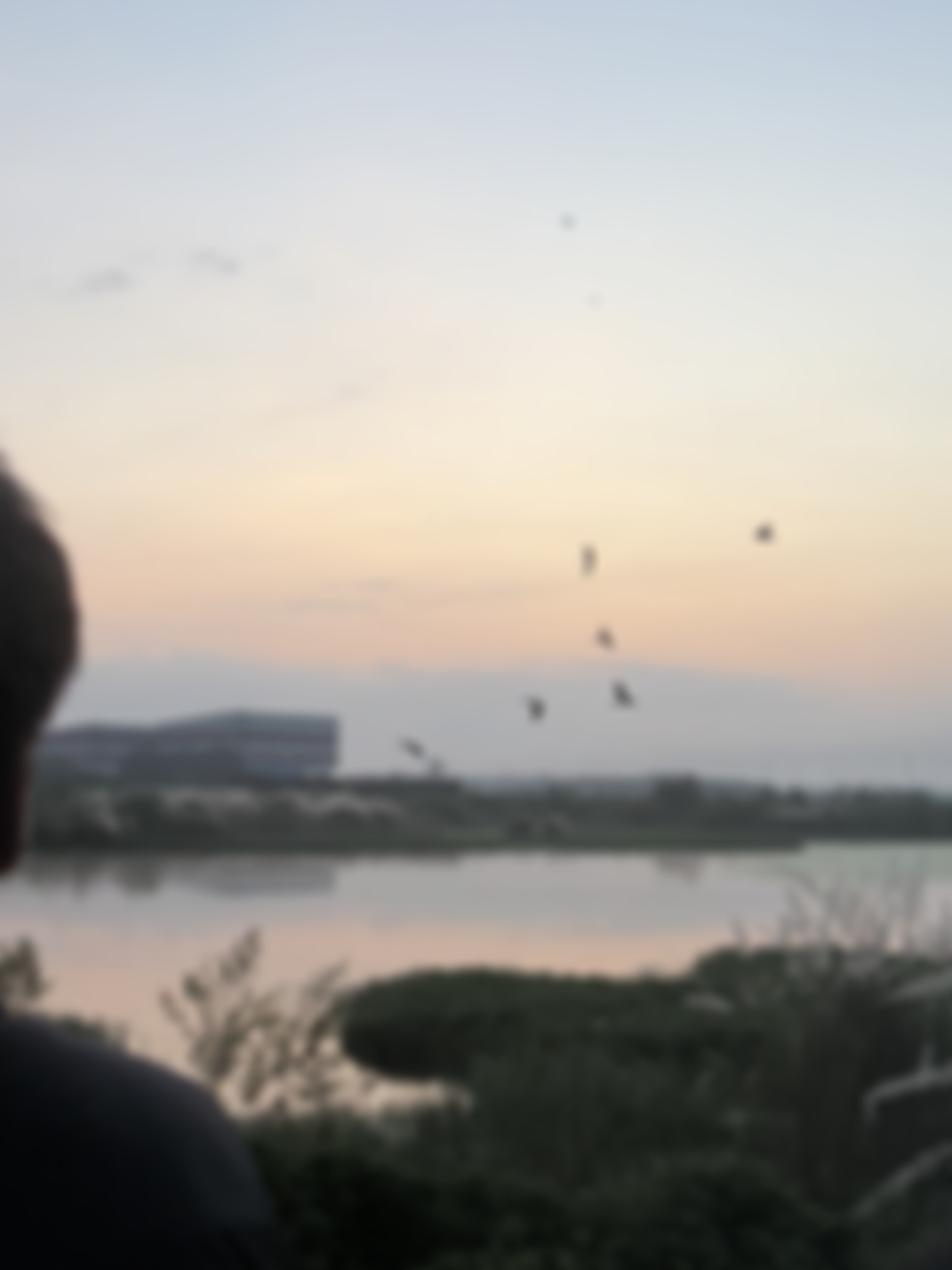 SNU Noida Campus photo (7) by Arman gautam