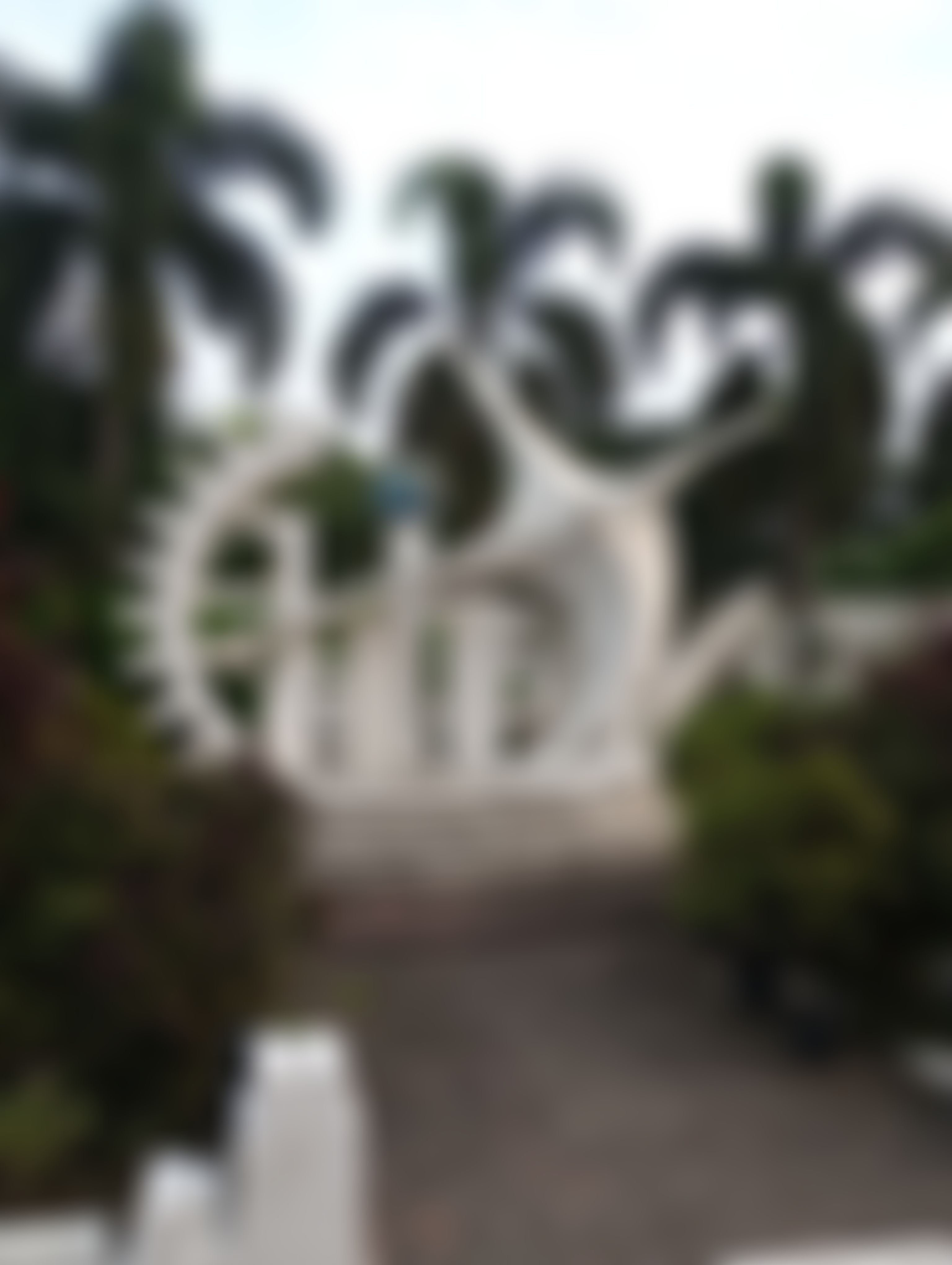 Haldia Institute of Technology Campus photo (20) by SUYASH JAISWAL