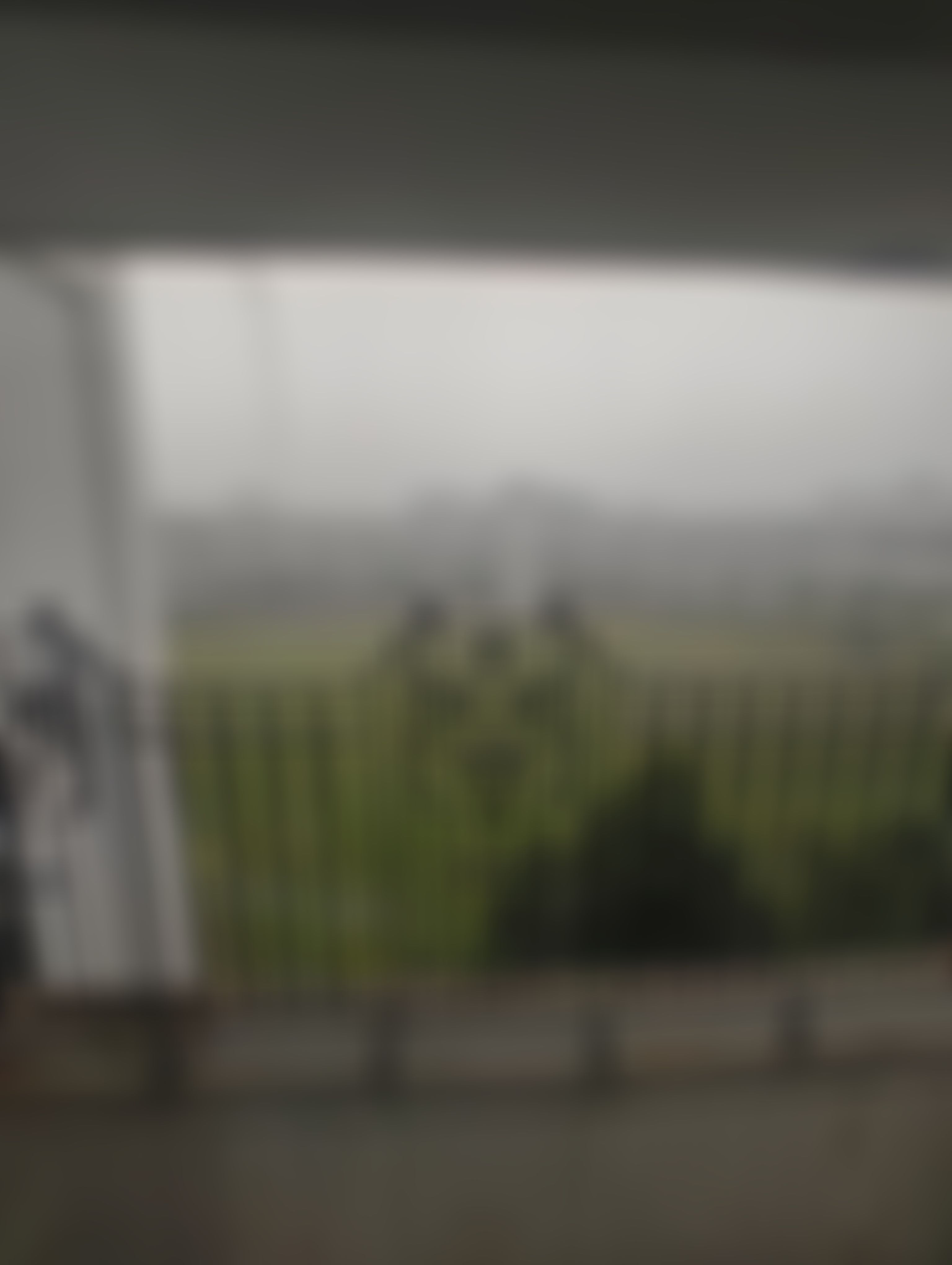 Haldia Institute of Technology Campus photo (12) by Anish Patra