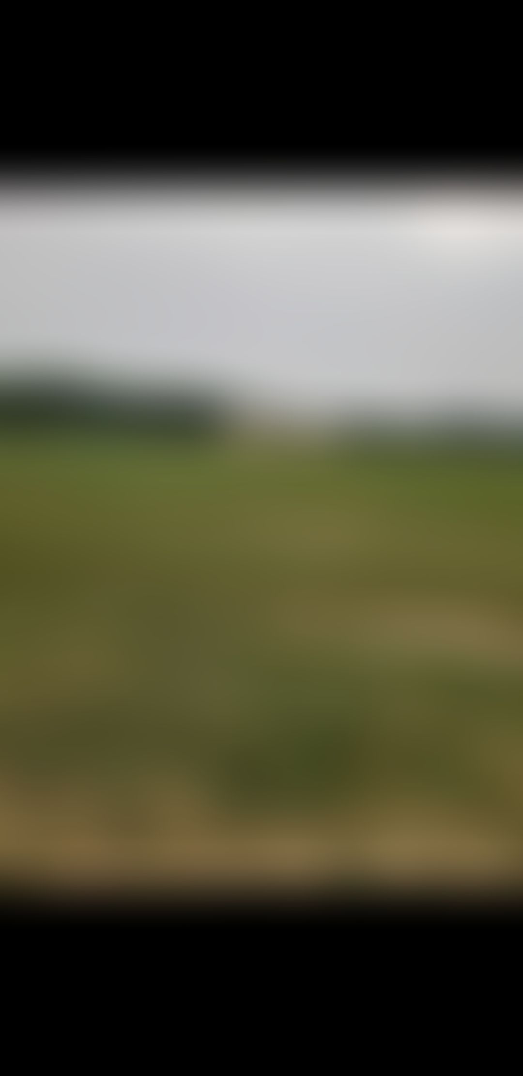 NIT Kurukshetra Extra-Curricular photo (6) by Aakash