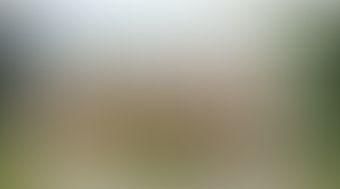 Allahabad University Campus photo (3) by MOHIT AGRAHARI