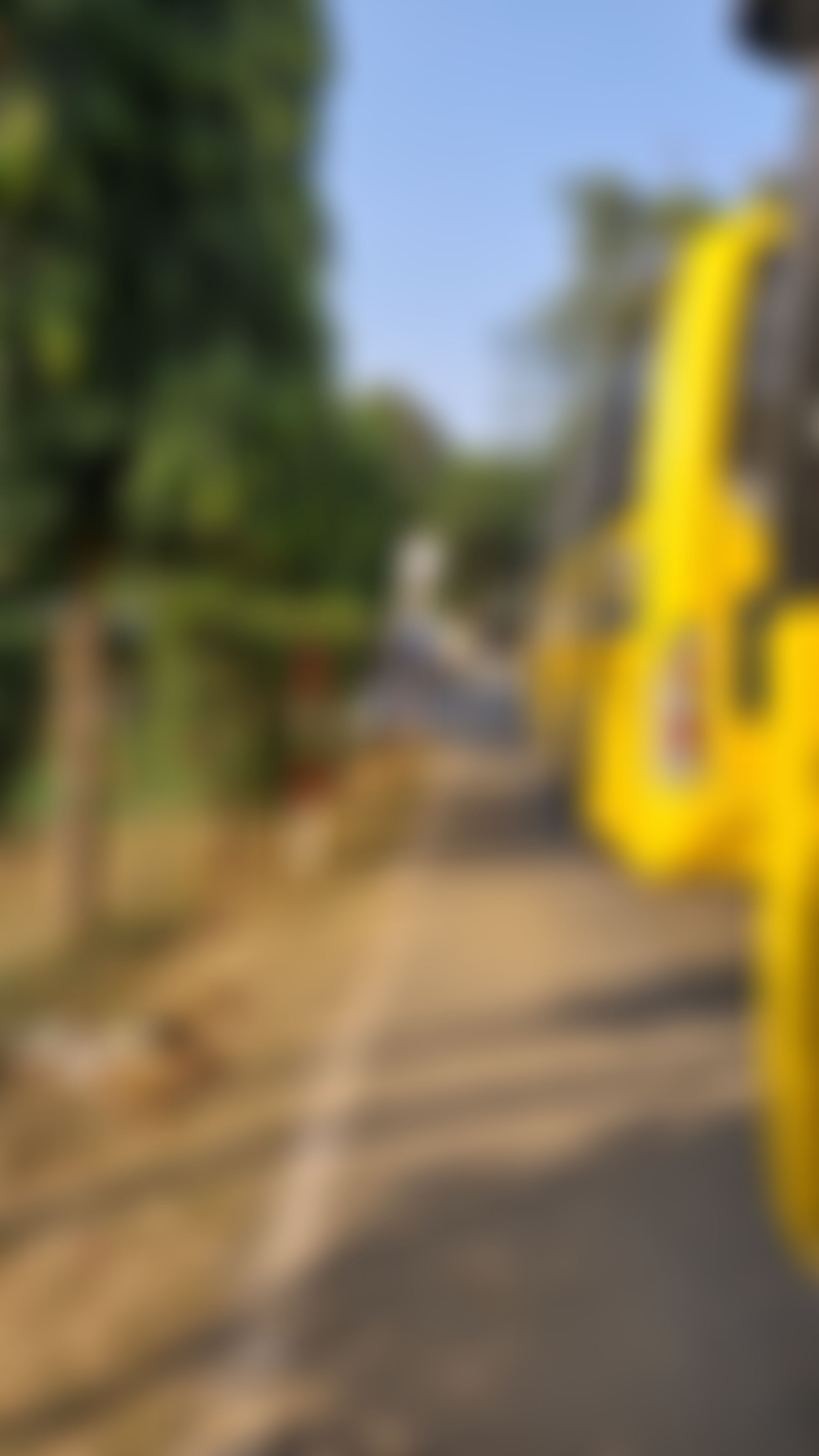 Lingaya's Vidyapeeth Faridabad Campus photo (12) by Riya singh
