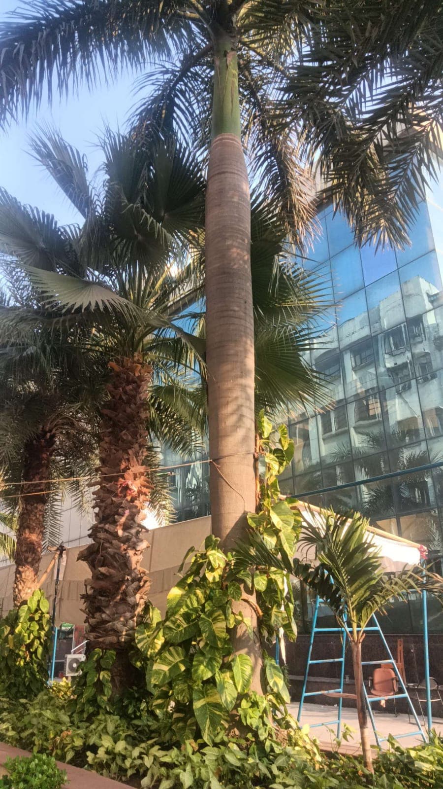 Mata Sundri College for Women General photo (4) by Subhasmita Swain