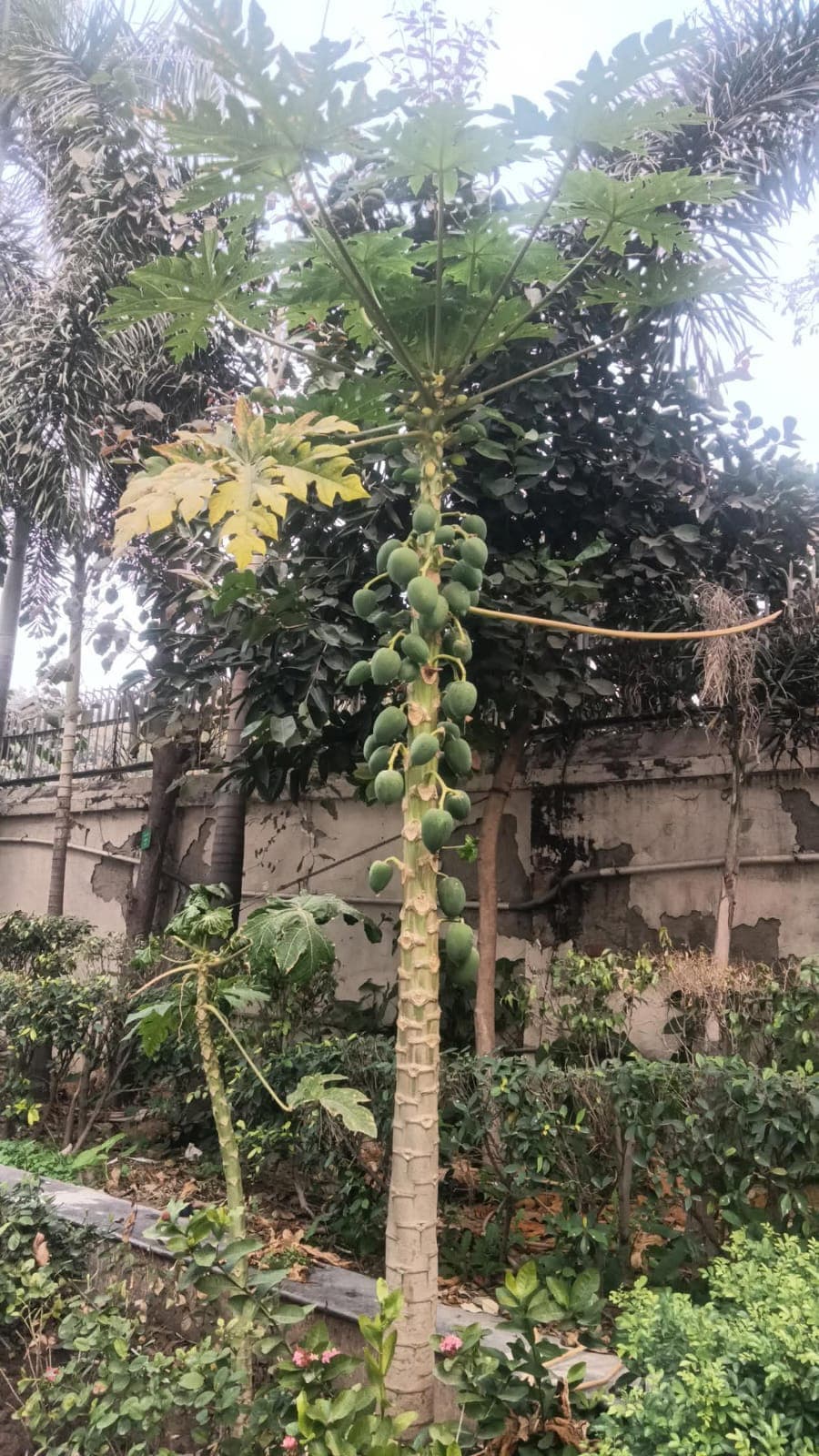 Mata Sundri College for Women General photo (5) by Subhasmita Swain