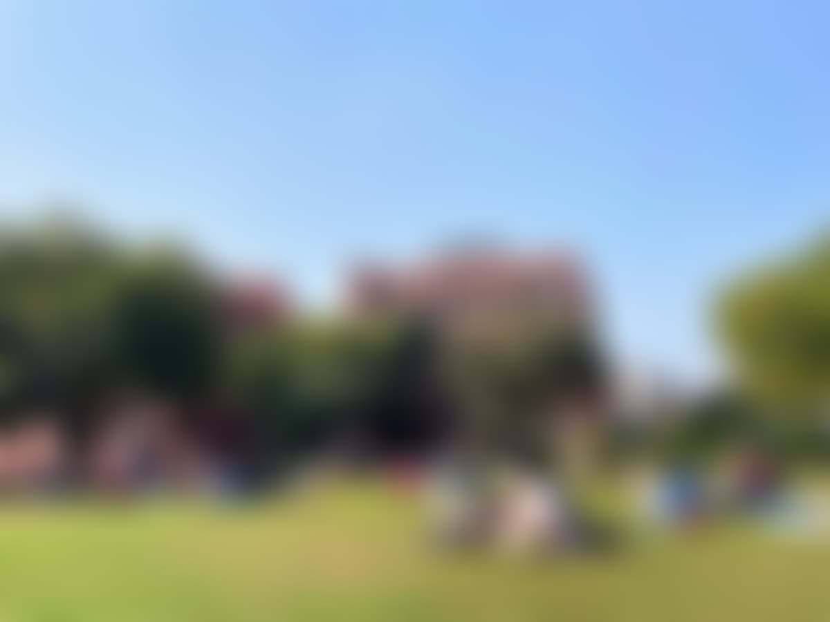 Jesus and Mary College Campus photo (16) by Sayana Chopra