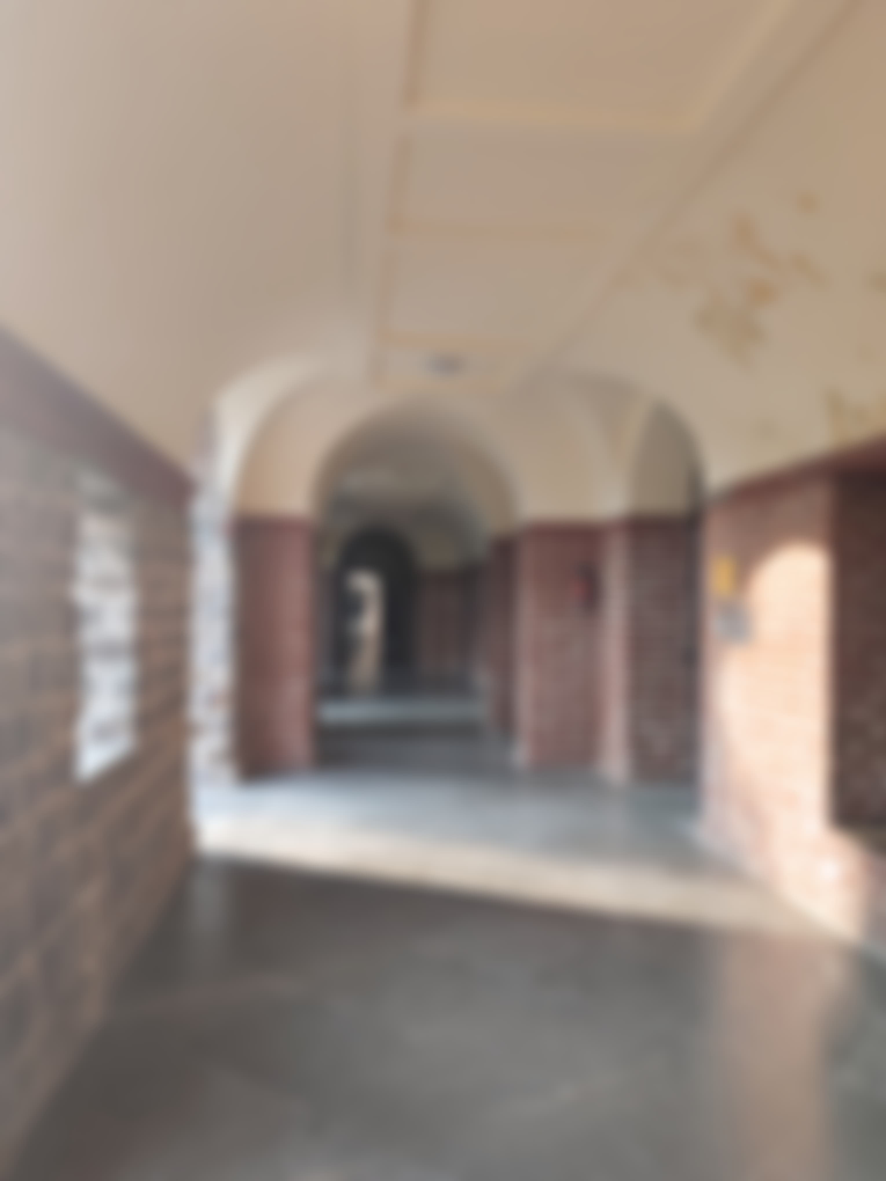 Miranda House Campus photo (18) by Saanvi Randhawa