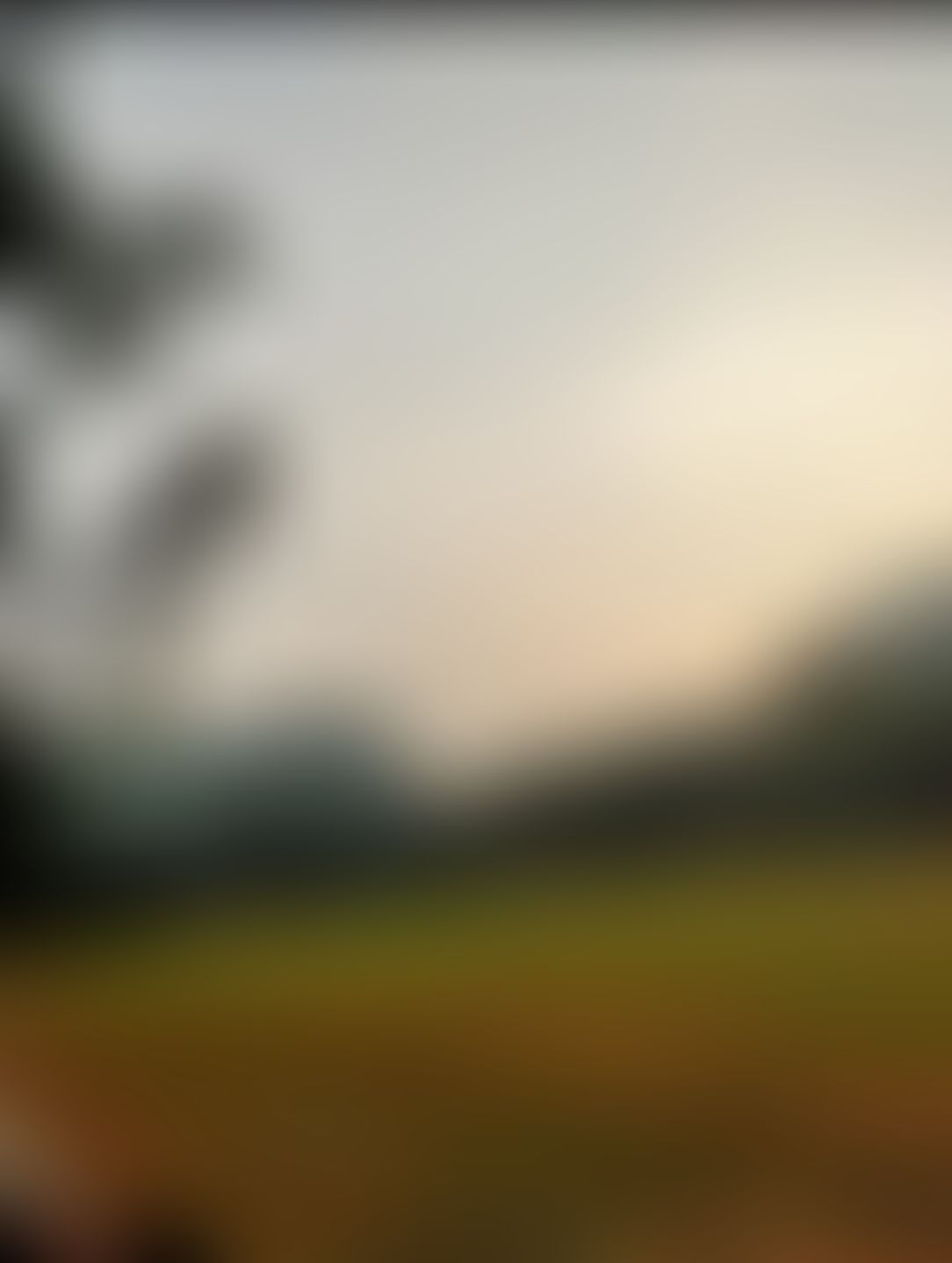 Christ University General photo (1) by Haripriya V