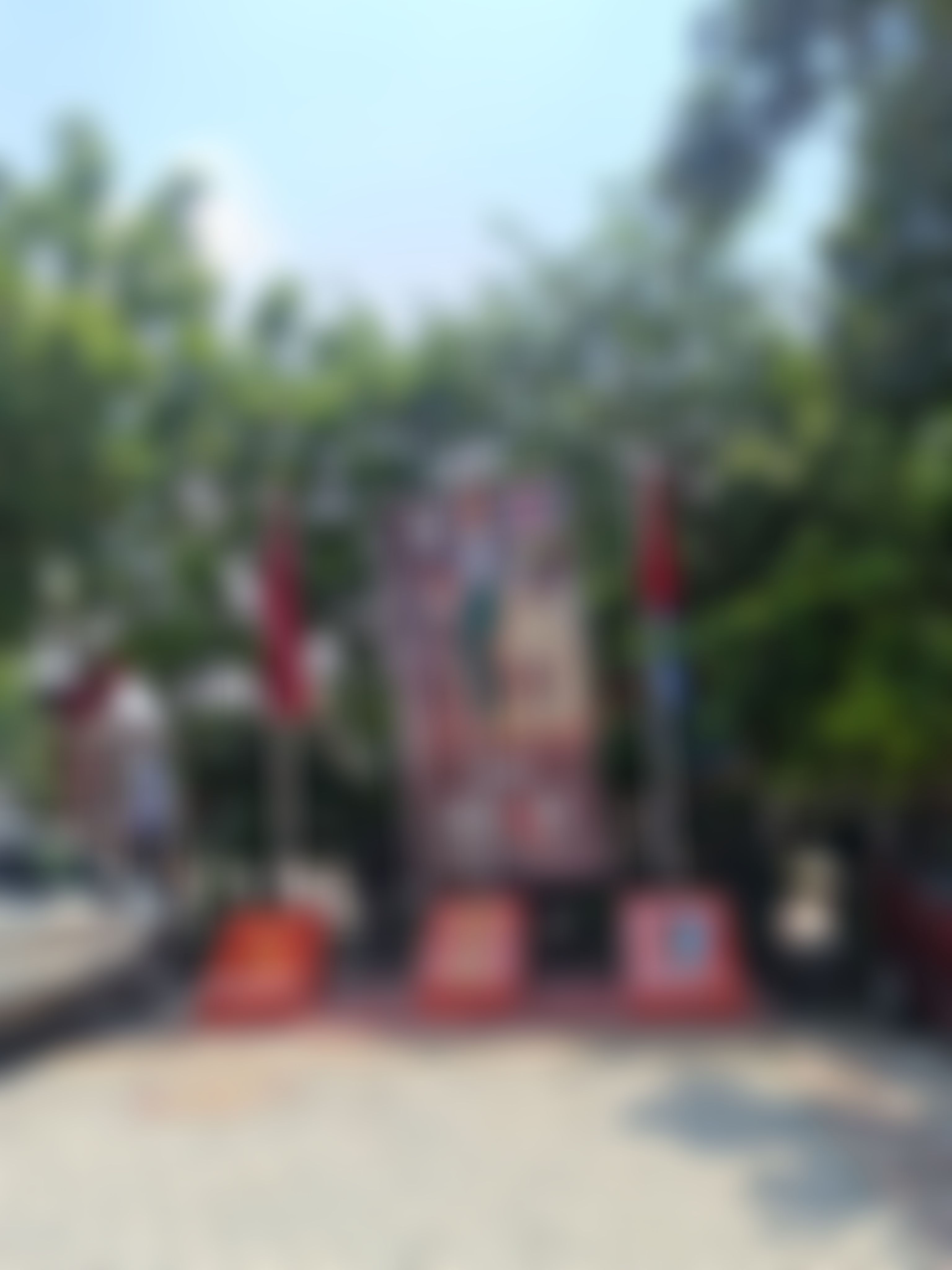 Shyam Lal College Campus photo (5) by Zoya