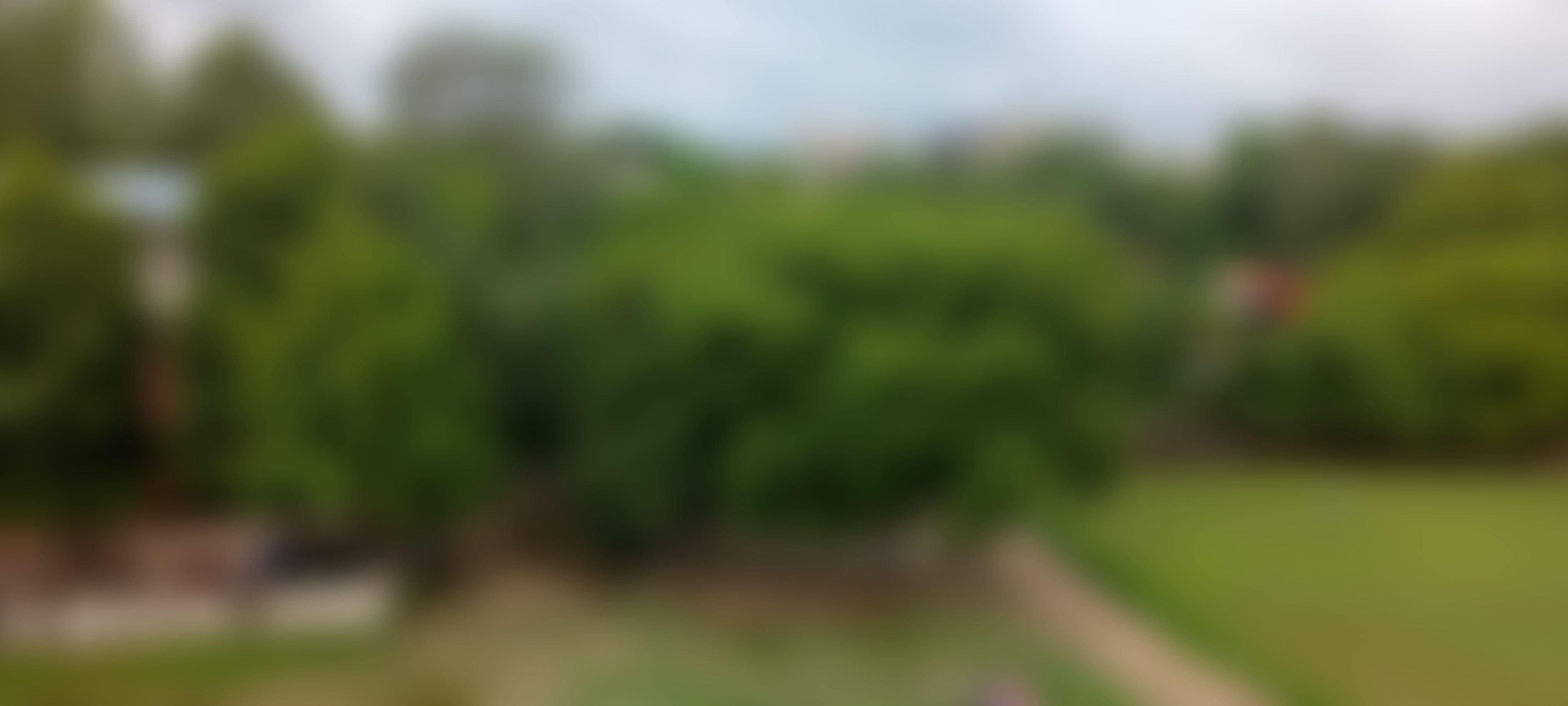 Lakshmibai College Campus photo (7) by Nidhi Nishchal