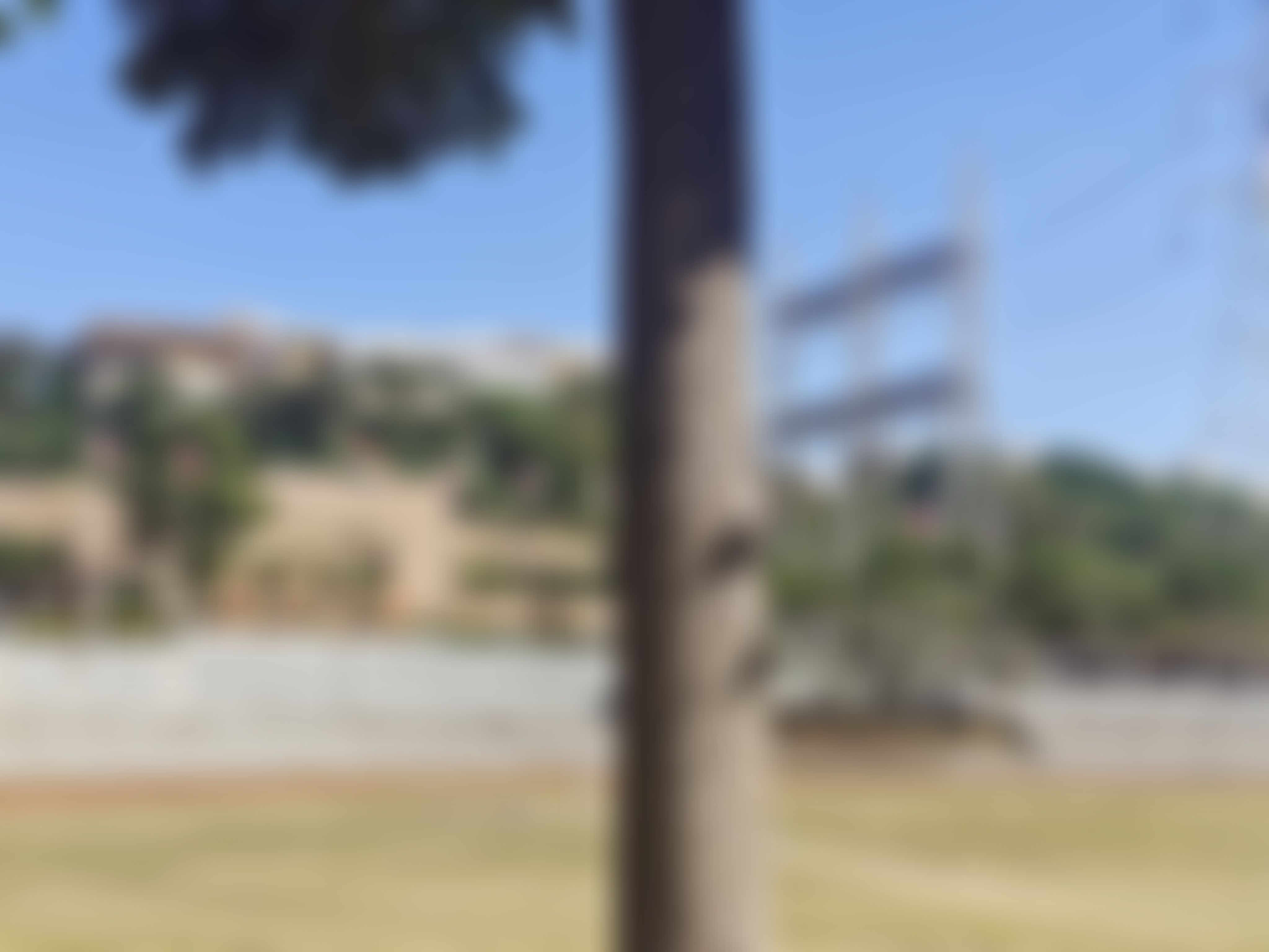 SAGE University Indore Campus photo (19) by Preet Kaur