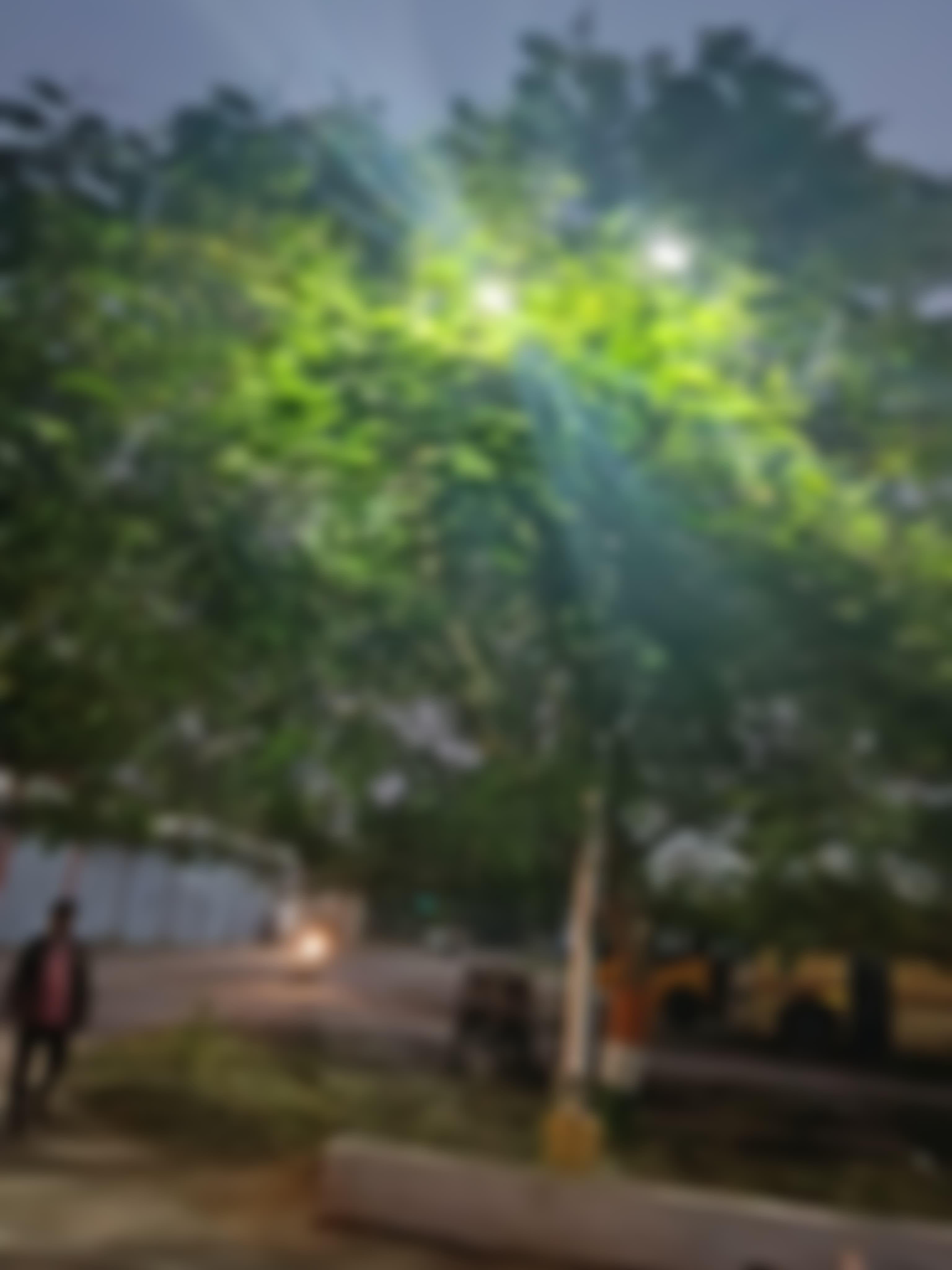 MMMUT Campus photo (8) by Avneesh Pandey