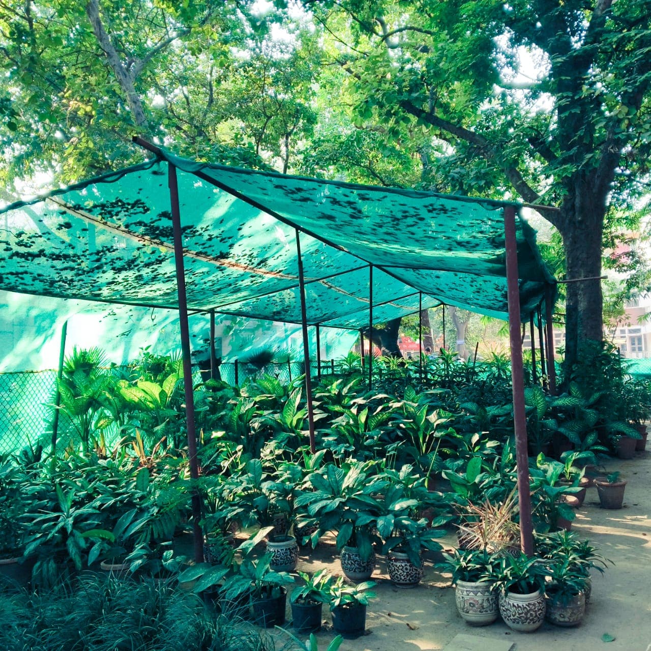 Daulat Ram College Facilities & Labs photo 1