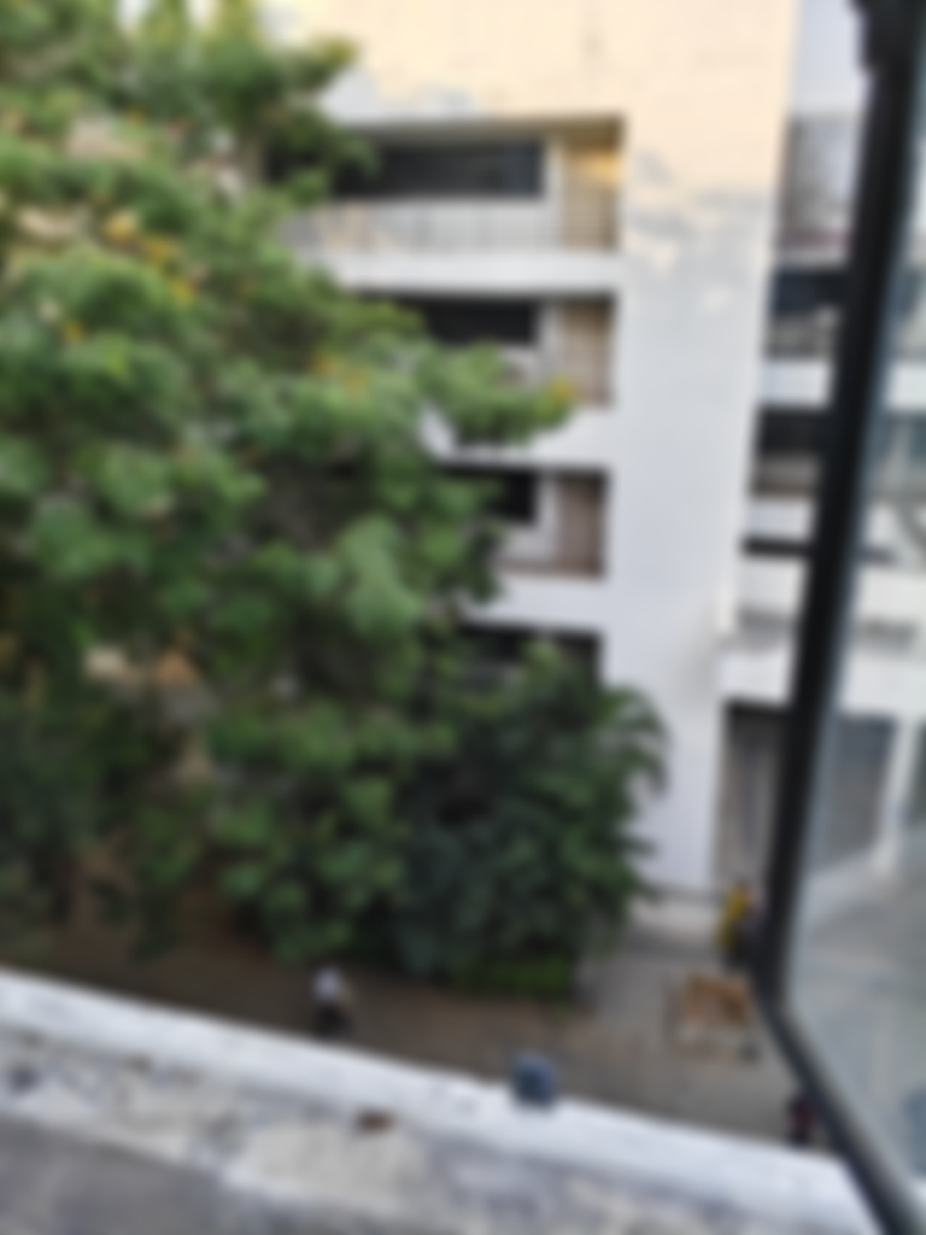 VCE Campus photo (4) by Shaik Mohammed Ruvaifa