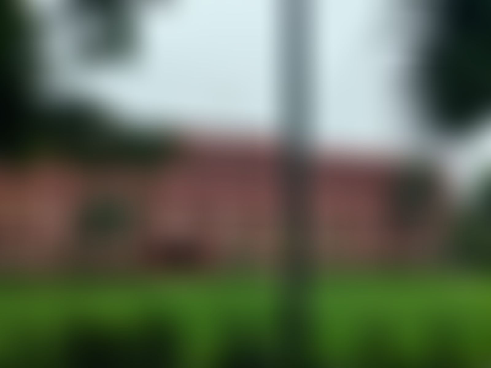 Kirori Mal College Campus photo (11) by PARIDHI RAGHUVANSHI