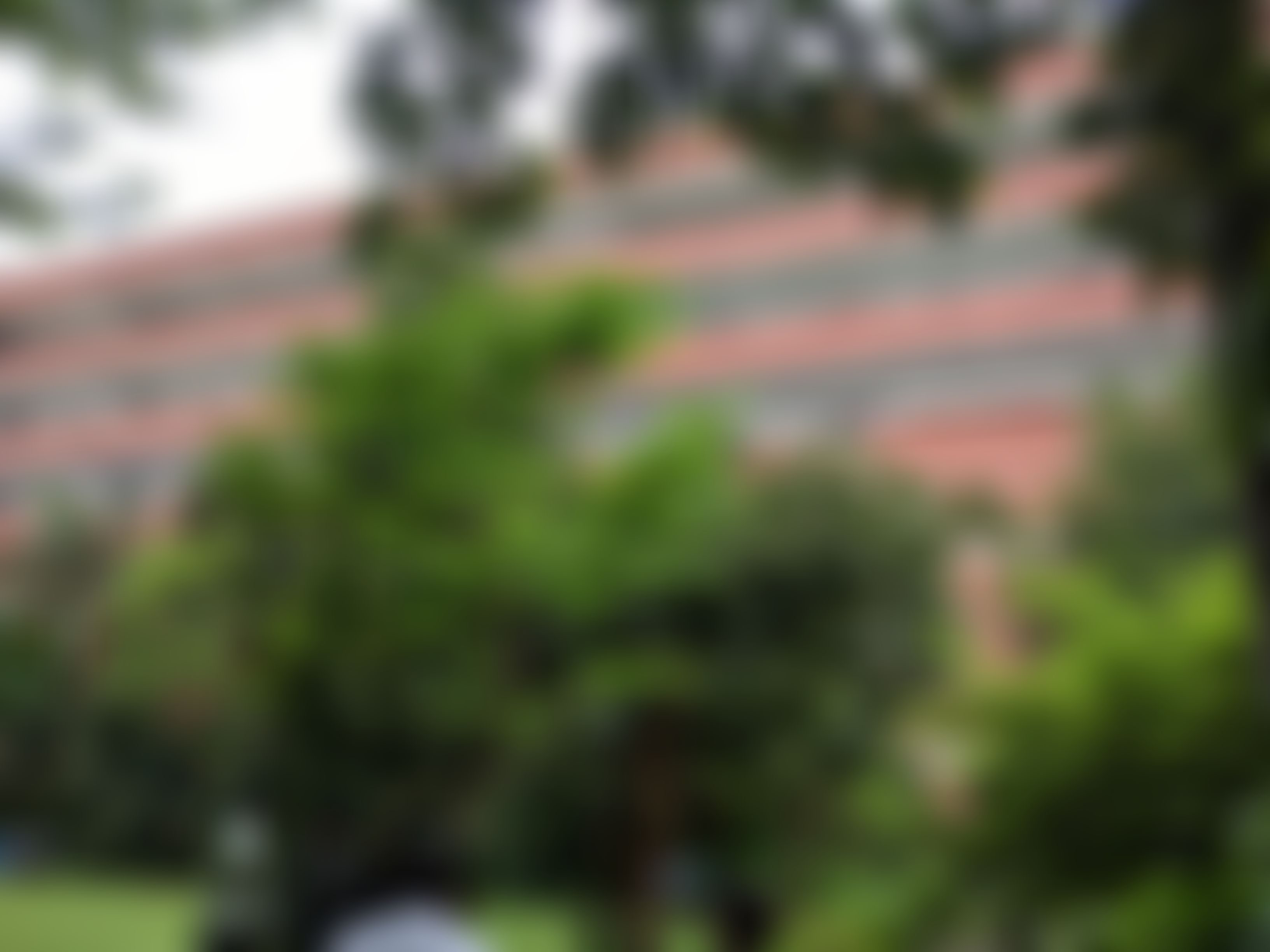 Ramjas College Infrastructure & Academic Building photo (2) by Shubhashish Gupta