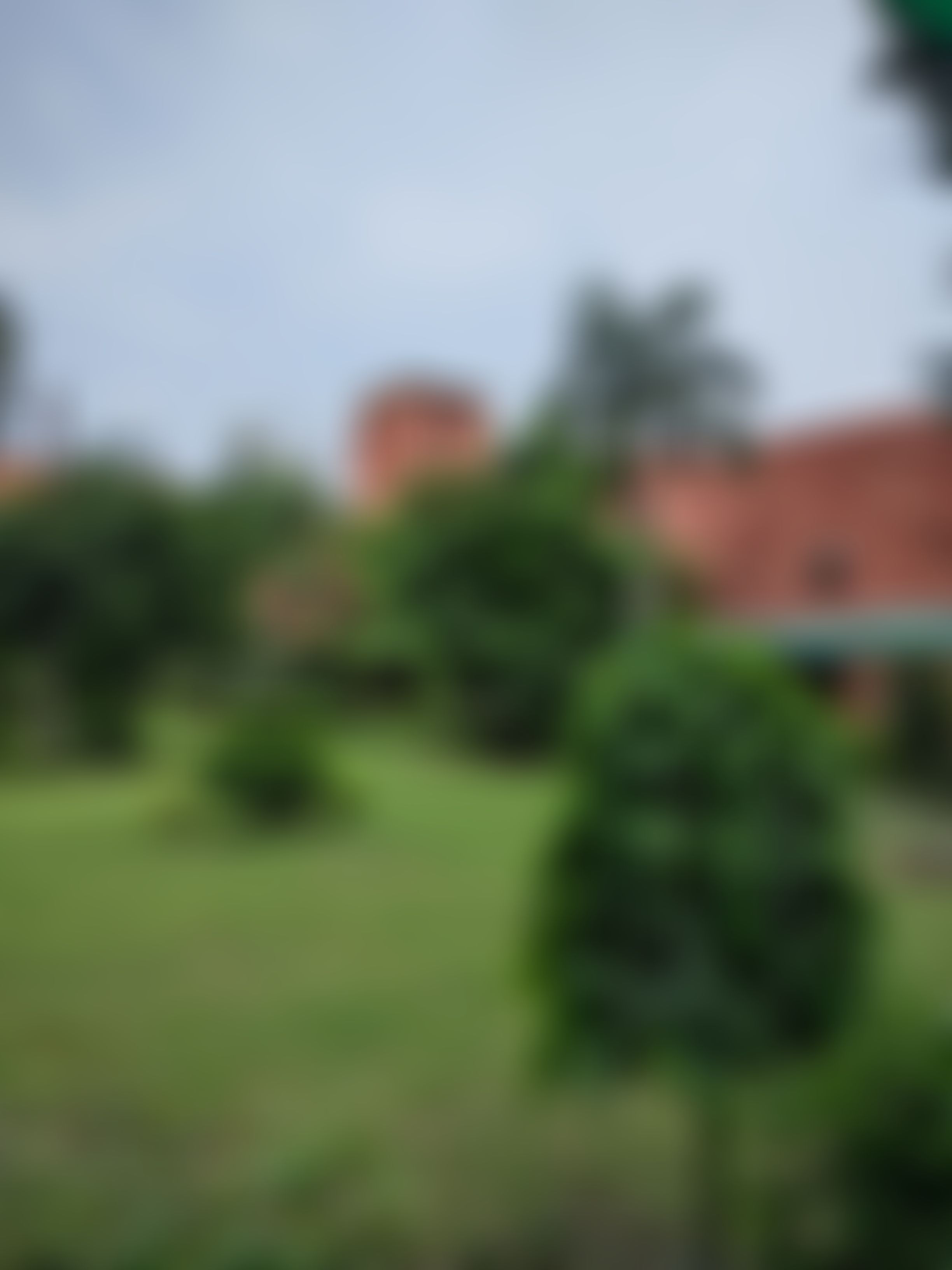 Ramjas College Campus photo (5) by Shubhashish Gupta