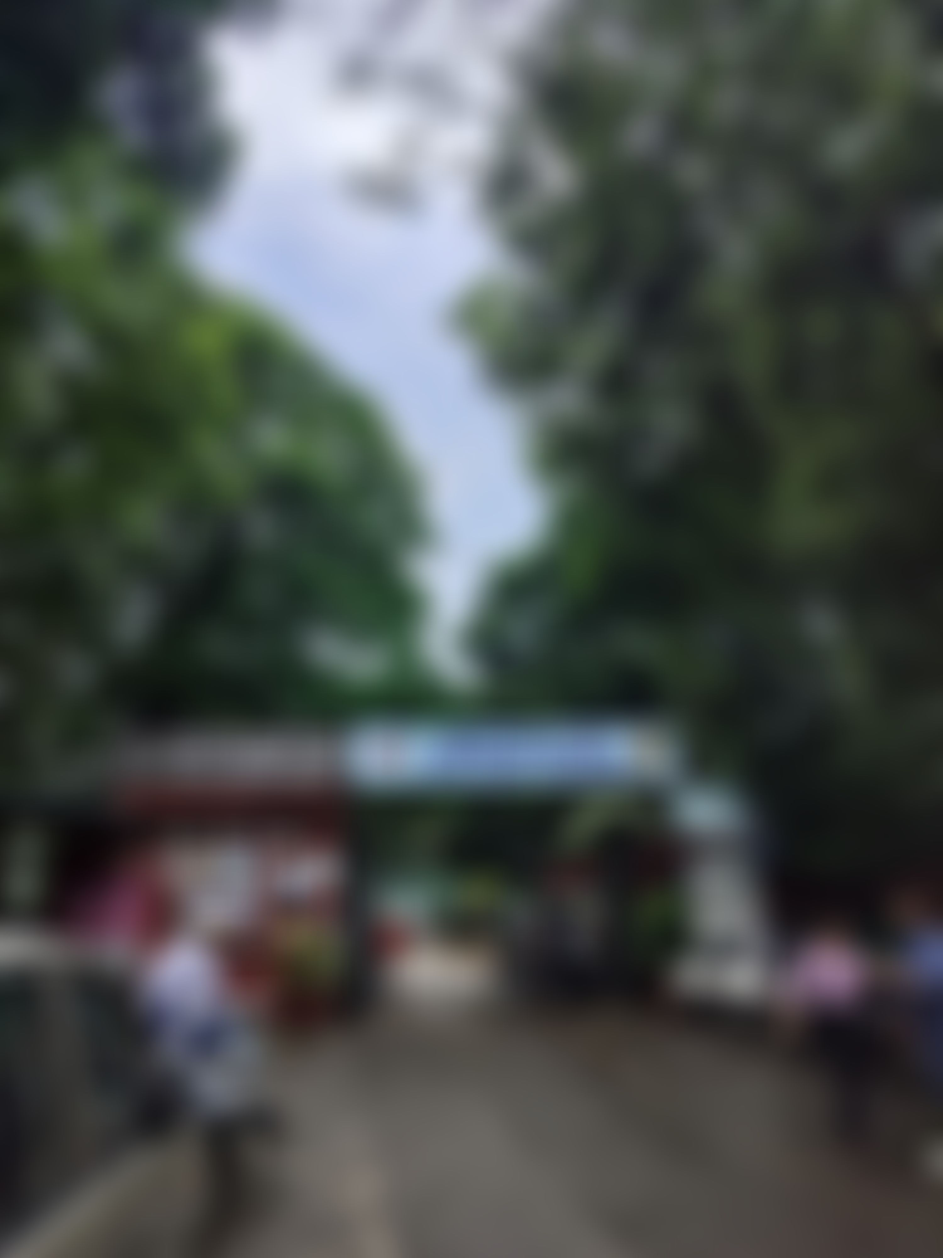 Janki Devi Memorial College Campus photo (6) by Priyanshi