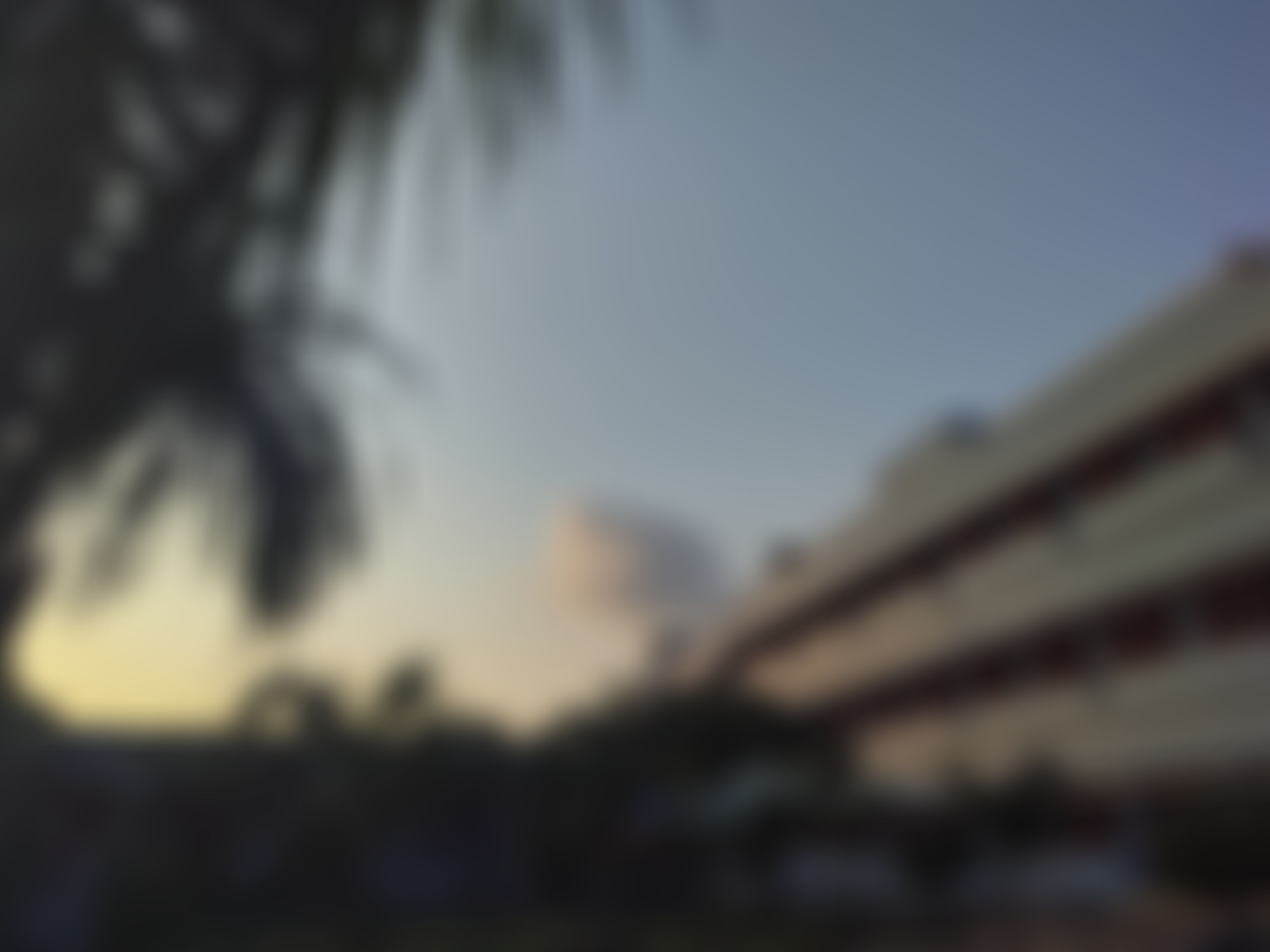 Janki Devi Memorial College Campus photo (5) by Priyanshi