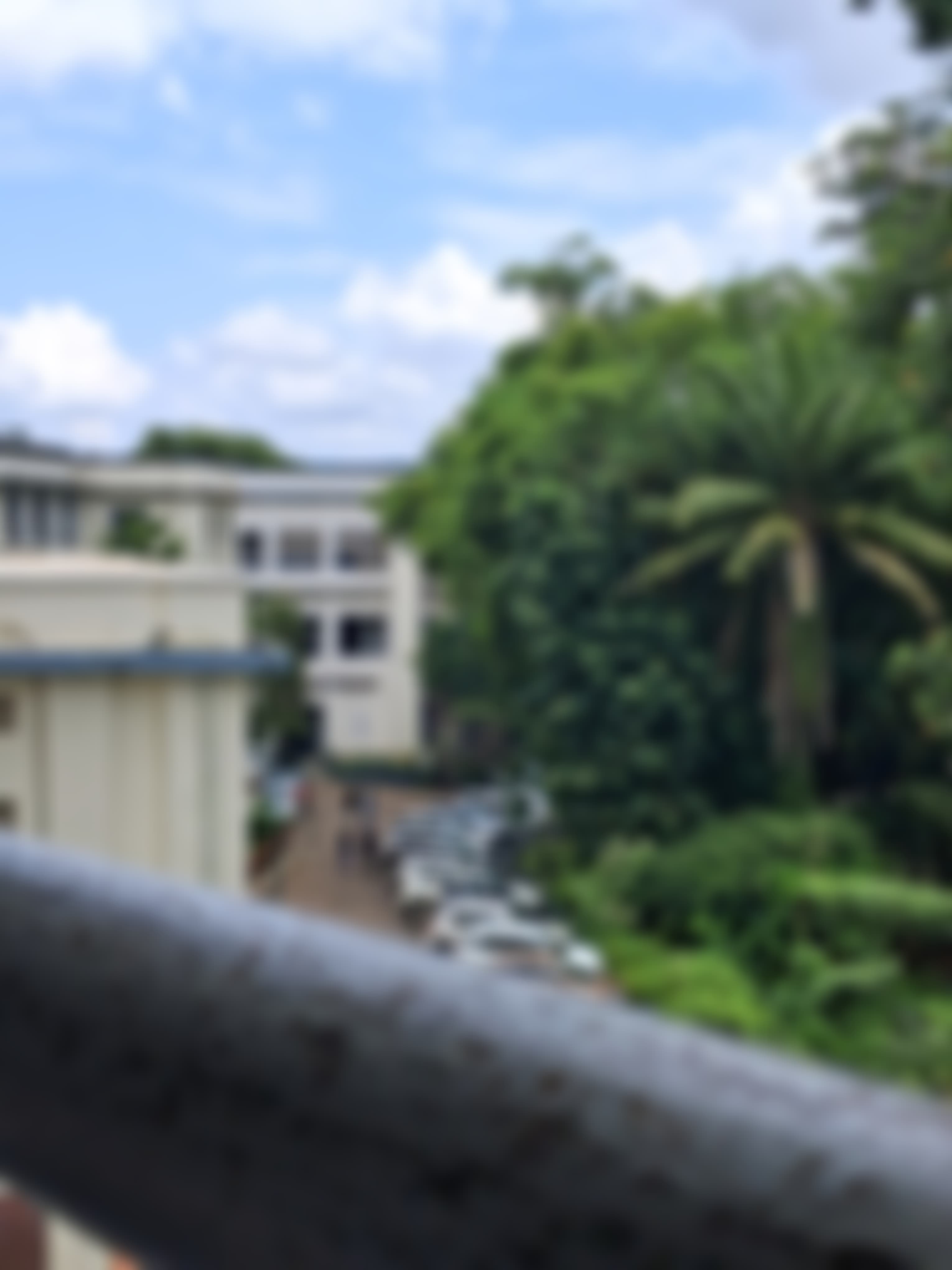 Christ College Irinjalakuda Thrissur Campus photo (2) by Megha A
